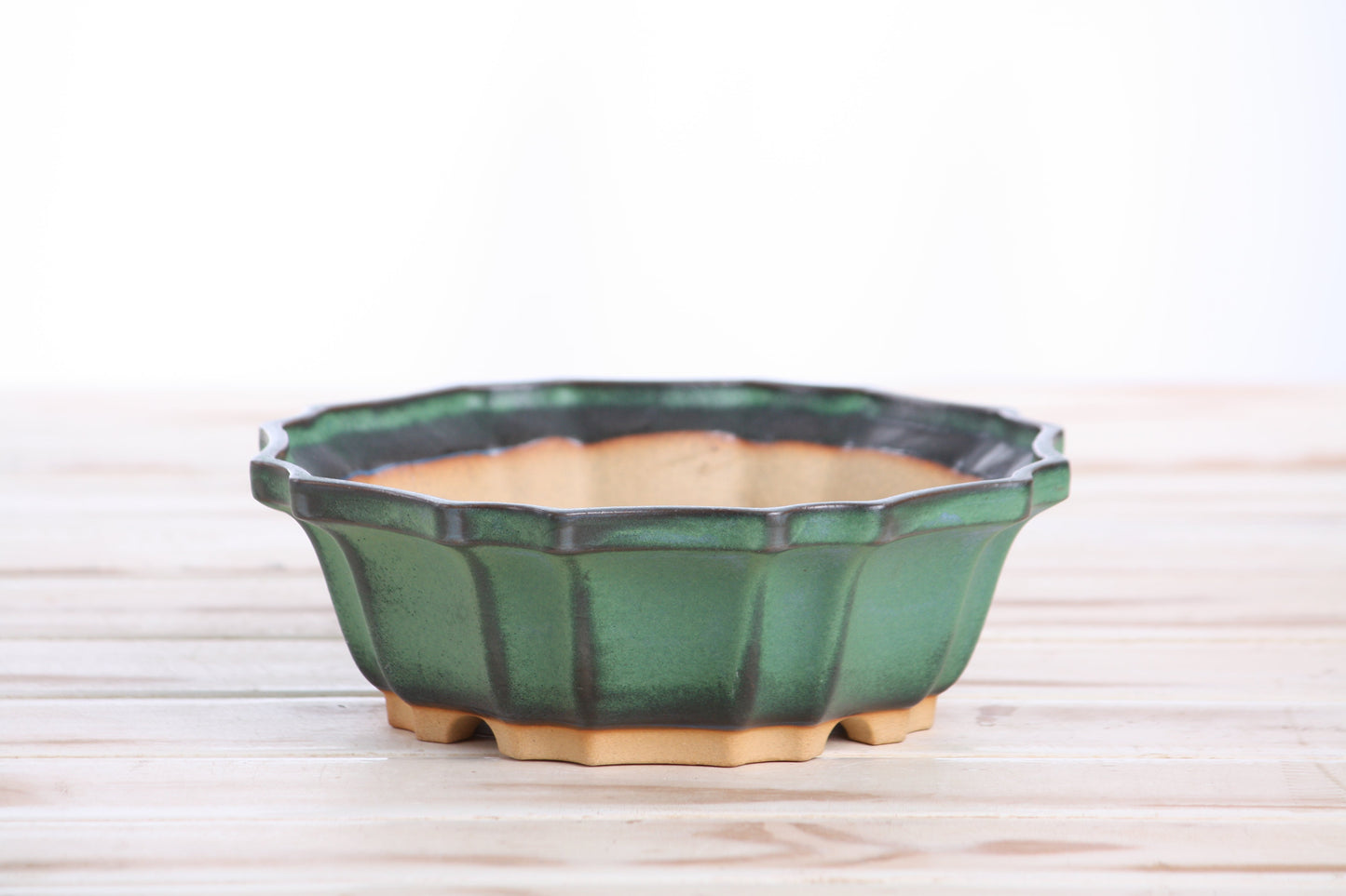 Willow Bonsai Ceramics Flower Design Bonsai Pot 6.5 Inch – Elegant Ceramic Bonsai & Succulent Planter, High‑Fired Frost‑Proof Stoneware with Drainage & Wiring Holes, Handmade in USA (Avocado)