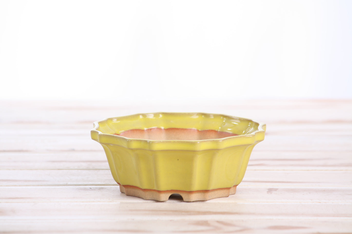 Willow Bonsai Ceramics Flower Design Bonsai Pot 5 Inch – Elegant Ceramic Bonsai & Succulent Planter, High‑Fired Frost‑Proof Stoneware with Drainage & Wiring Holes, Handmade in USA (Yellow)