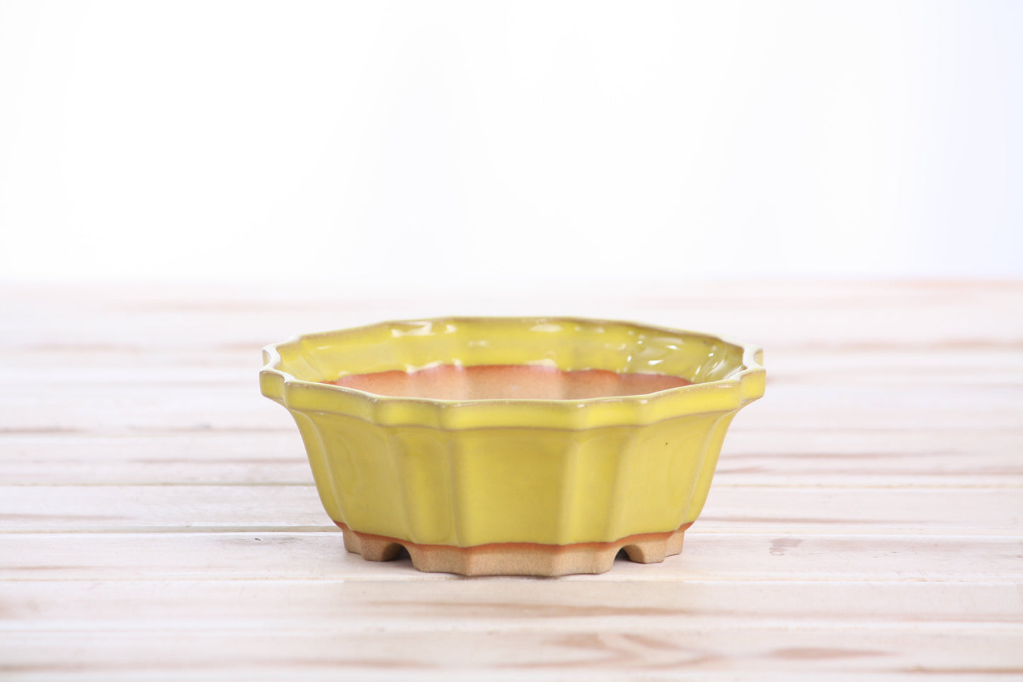 Willow Bonsai Ceramics Flower Design Bonsai Pot 5 Inch – Elegant Ceramic Bonsai & Succulent Planter, High‑Fired Frost‑Proof Stoneware with Drainage & Wiring Holes, Handmade in USA (Yellow)