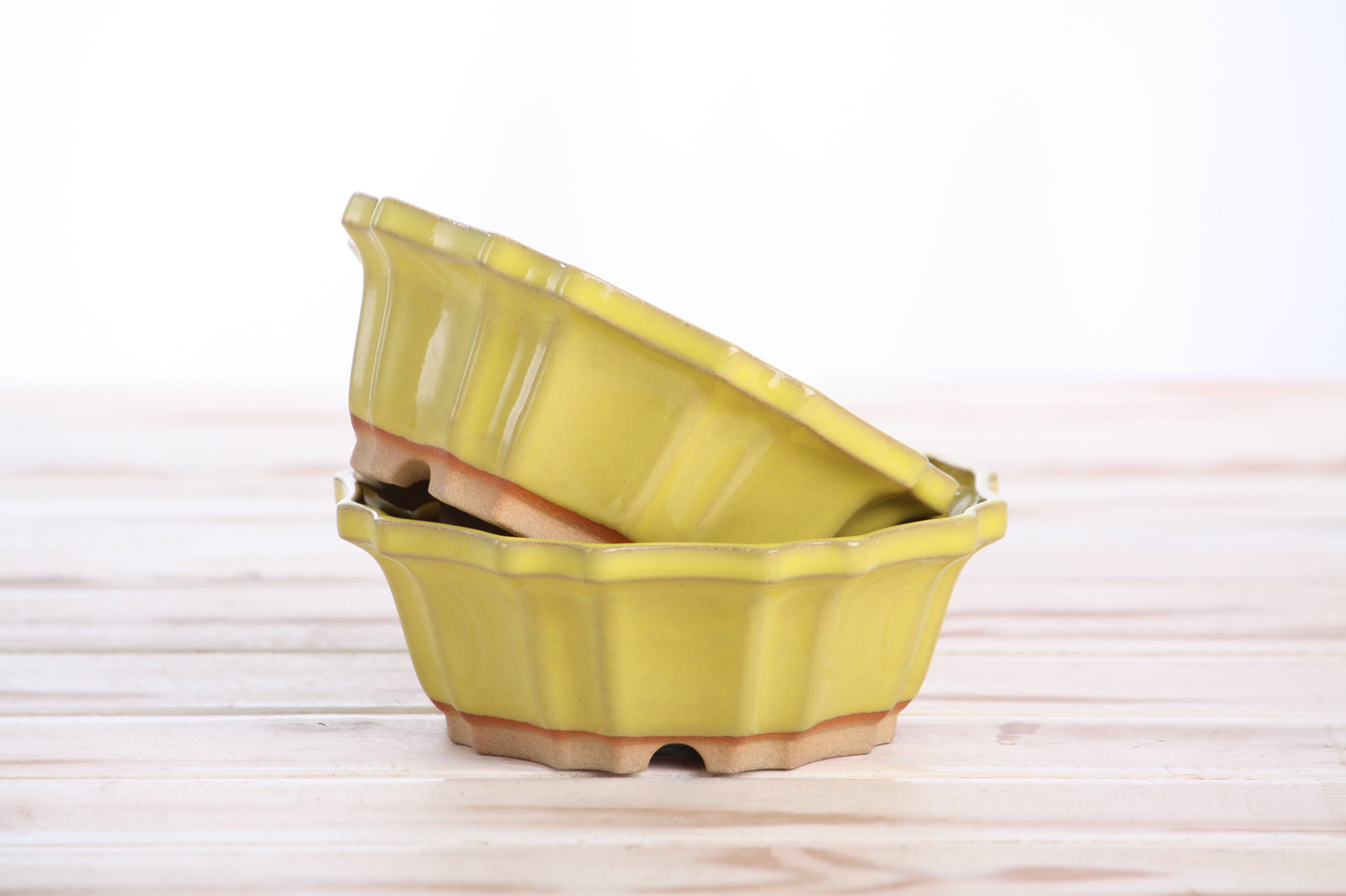 Willow Bonsai Ceramics Flower Design Bonsai Pot 5 Inch – Elegant Ceramic Bonsai & Succulent Planter, High‑Fired Frost‑Proof Stoneware with Drainage & Wiring Holes, Handmade in USA (Yellow)
