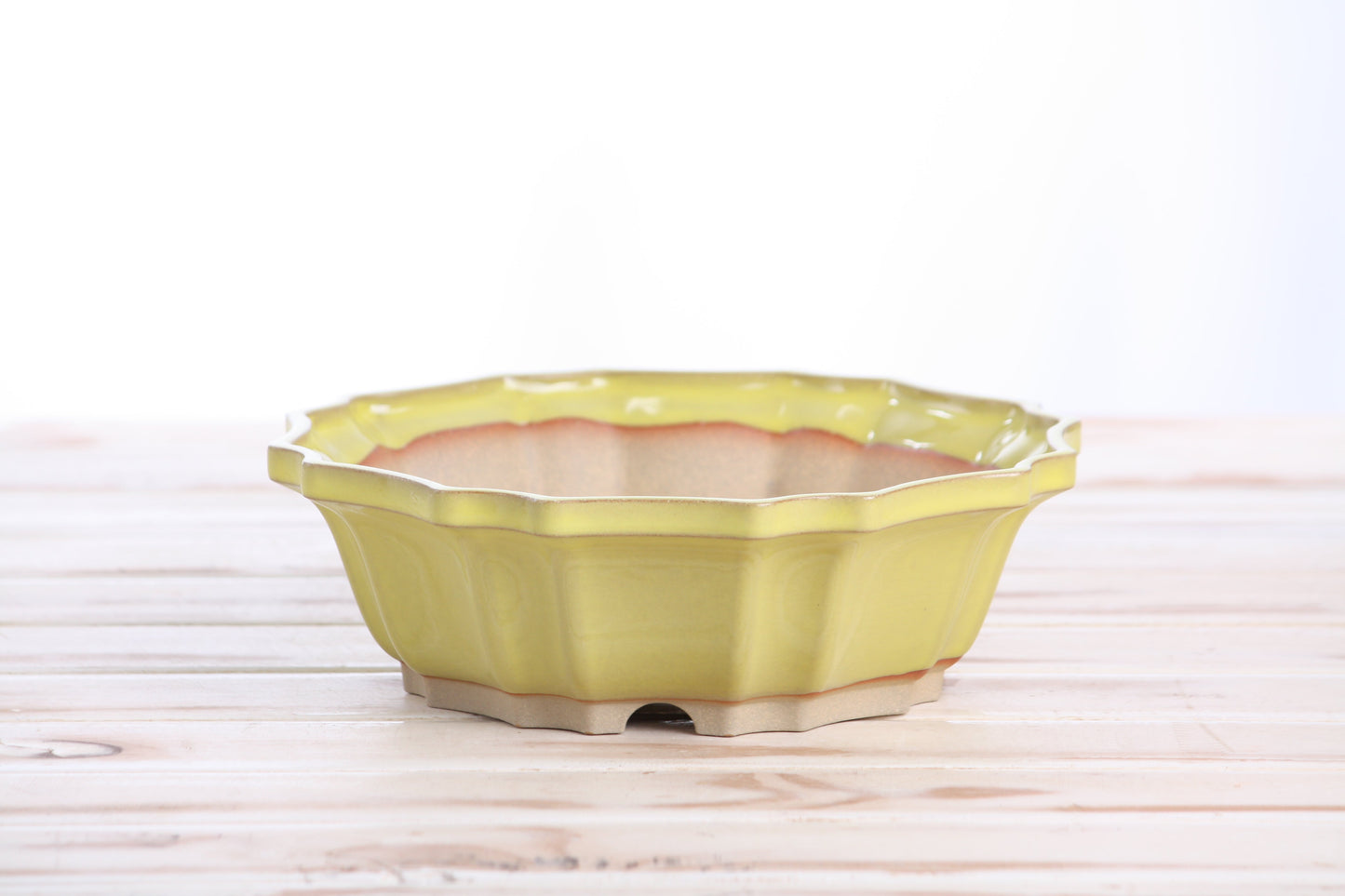 Willow Bonsai Ceramics Flower Design Bonsai Pot 8 Inch – Elegant Ceramic Bonsai & Succulent Planter, High‑Fired Frost‑Proof Stoneware with Drainage & Wiring Holes, Handmade in USA (Yellow)