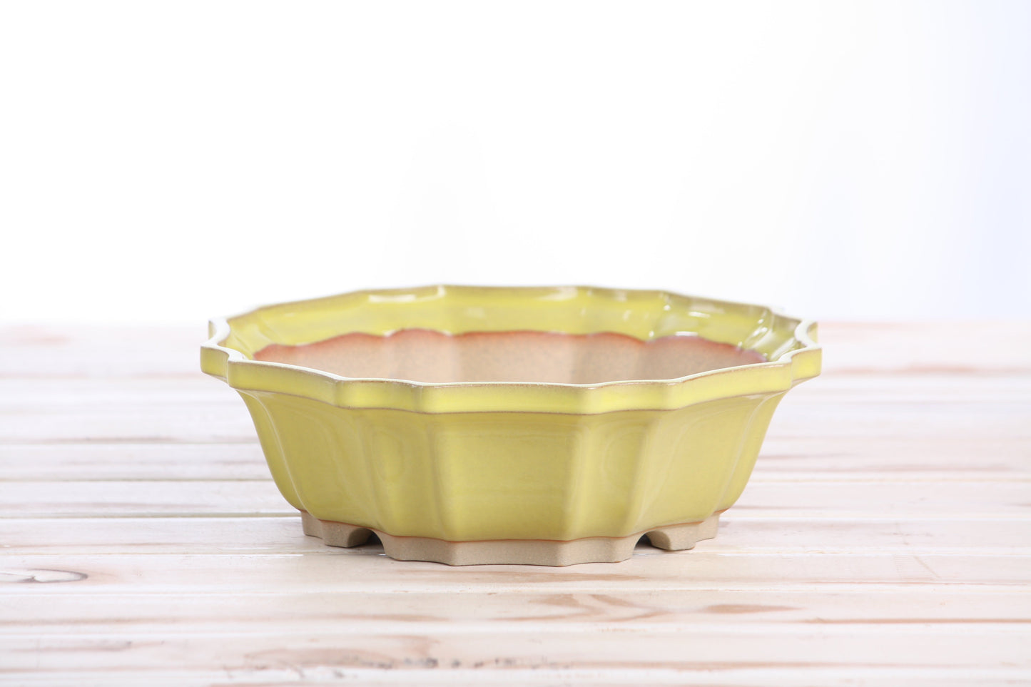 Willow Bonsai Ceramics Flower Design Bonsai Pot 8 Inch – Elegant Ceramic Bonsai & Succulent Planter, High‑Fired Frost‑Proof Stoneware with Drainage & Wiring Holes, Handmade in USA (Yellow)