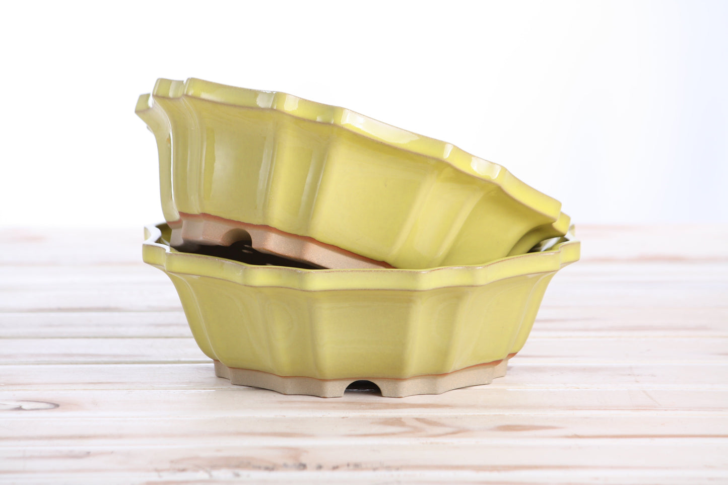 Willow Bonsai Ceramics Flower Design Bonsai Pot 8 Inch – Elegant Ceramic Bonsai & Succulent Planter, High‑Fired Frost‑Proof Stoneware with Drainage & Wiring Holes, Handmade in USA (Yellow)