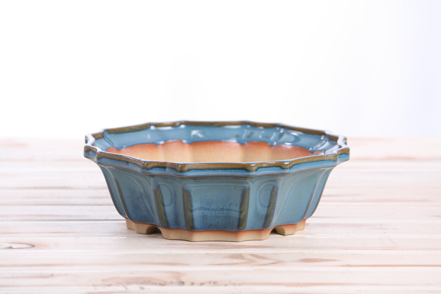 Willow Bonsai Ceramics Flower Design Bonsai Pot 8 Inch – Elegant Ceramic Bonsai & Succulent Planter, High‑Fired Frost‑Proof Stoneware with Drainage & Wiring Holes, Handmade in USA (Peacock 2025)