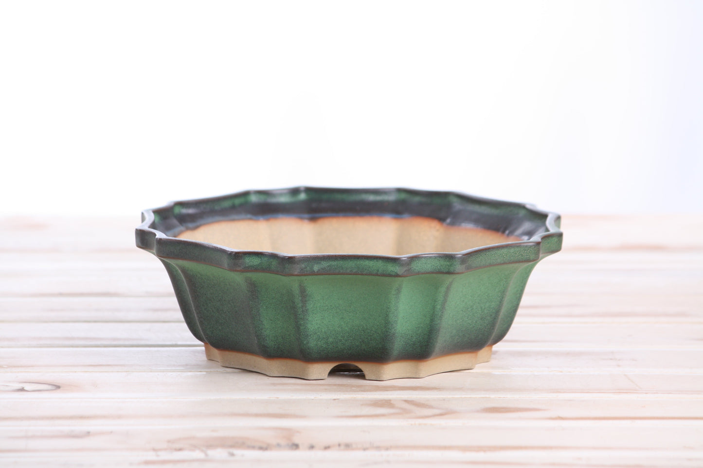 Willow Bonsai Ceramics Flower Design Bonsai Pot 8 Inch – Elegant Ceramic Bonsai & Succulent Planter, High‑Fired Frost‑Proof Stoneware with Drainage & Wiring Holes, Handmade in USA (Avocado)