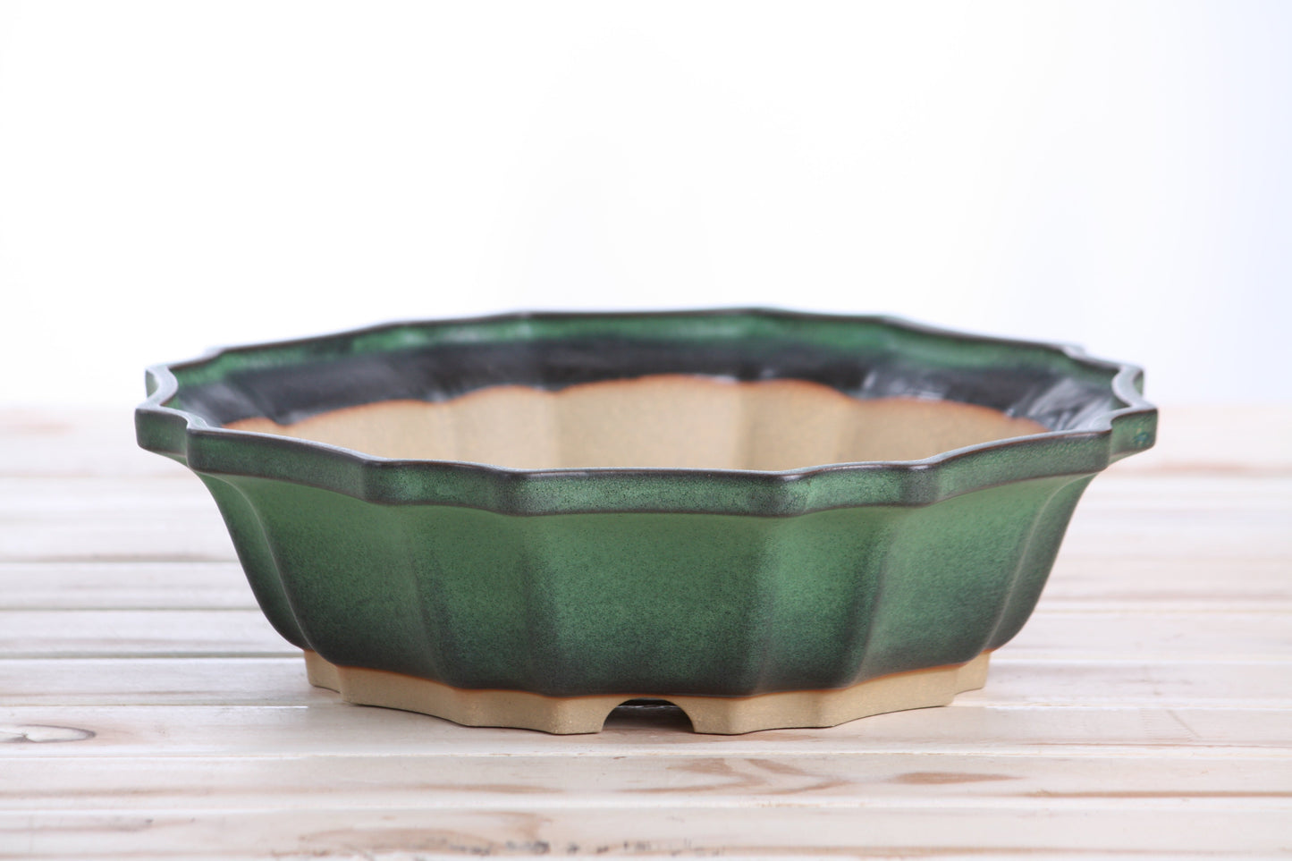 Willow Bonsai Ceramics Flower Design Bonsai Pot 10 Inch – Elegant Ceramic Bonsai & Succulent Planter, High‑Fired Frost‑Proof Stoneware with Drainage & Wiring Holes, Handmade in USA (Avocado)