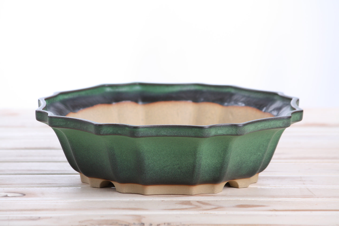 Willow Bonsai Ceramics Flower Design Bonsai Pot 10 Inch – Elegant Ceramic Bonsai & Succulent Planter, High‑Fired Frost‑Proof Stoneware with Drainage & Wiring Holes, Handmade in USA (Avocado)