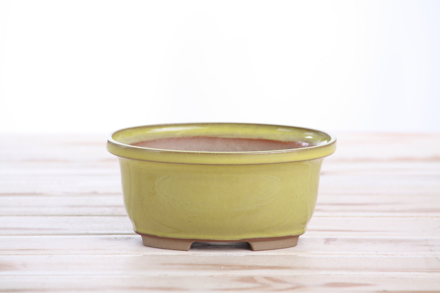 Willow Bonsai Ceramics Fat Bonsai Pot 5.5 Inch – Bold Oval Ceramic Bonsai & Succulent Planter with Accentuated Rim, High‑Fired Frost‑Proof Stoneware, Handmade in USA (Yellow)