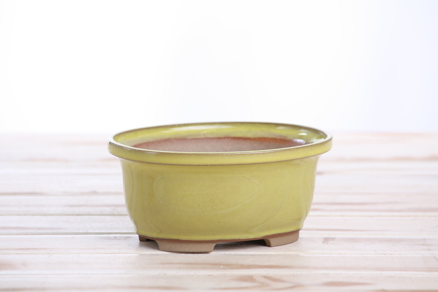Willow Bonsai Ceramics Fat Bonsai Pot 5.5 Inch – Bold Oval Ceramic Bonsai & Succulent Planter with Accentuated Rim, High‑Fired Frost‑Proof Stoneware, Handmade in USA (Yellow)