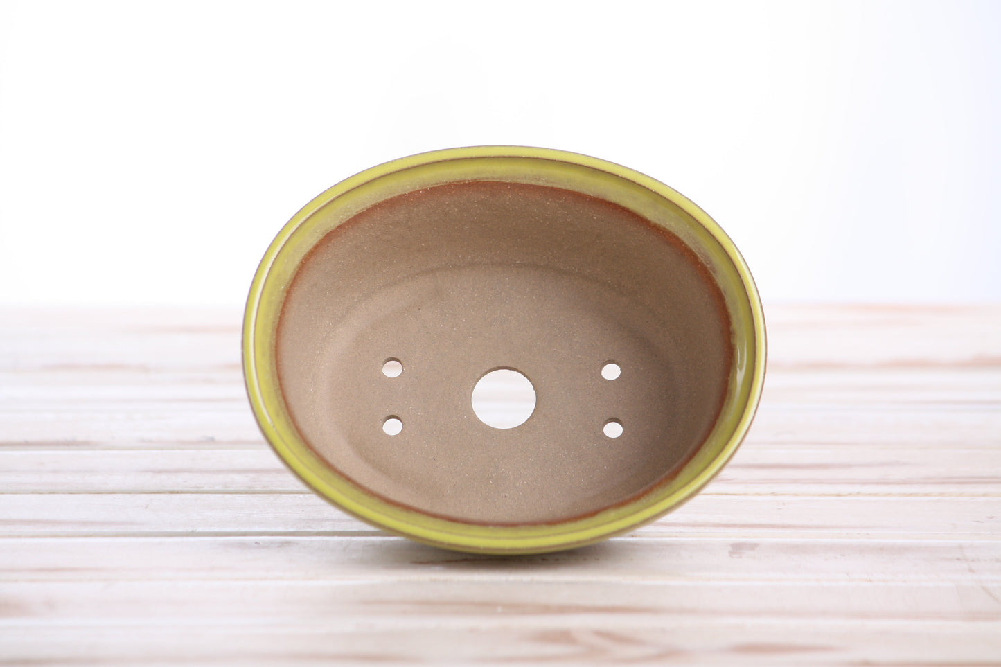Willow Bonsai Ceramics Fat Bonsai Pot 5.5 Inch – Bold Oval Ceramic Bonsai & Succulent Planter with Accentuated Rim, High‑Fired Frost‑Proof Stoneware, Handmade in USA (Yellow)