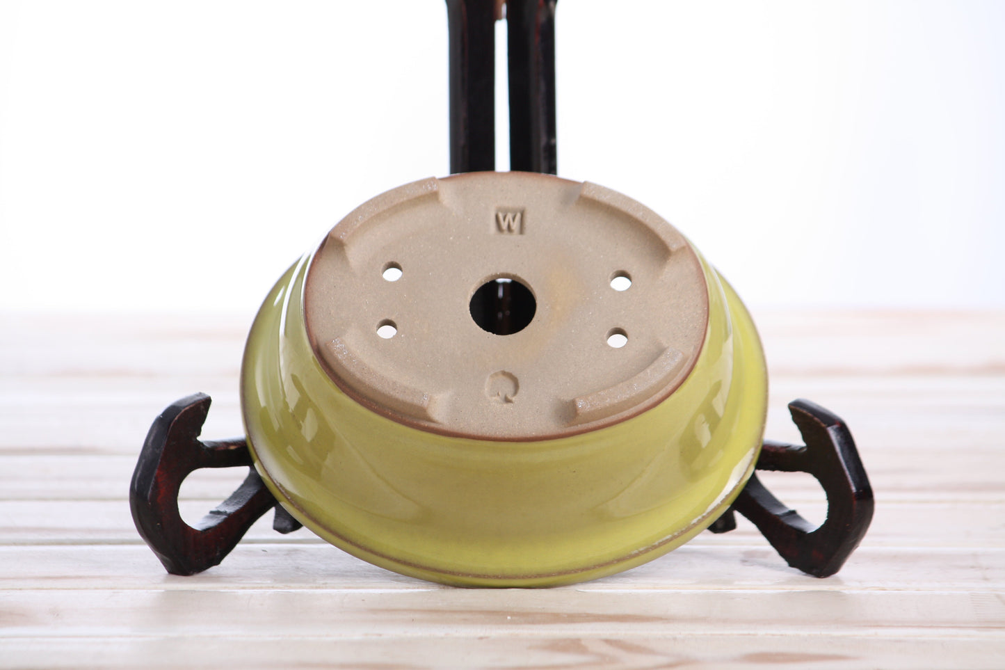 Willow Bonsai Ceramics Fat Bonsai Pot 5.5 Inch – Bold Oval Ceramic Bonsai & Succulent Planter with Accentuated Rim, High‑Fired Frost‑Proof Stoneware, Handmade in USA (Yellow)
