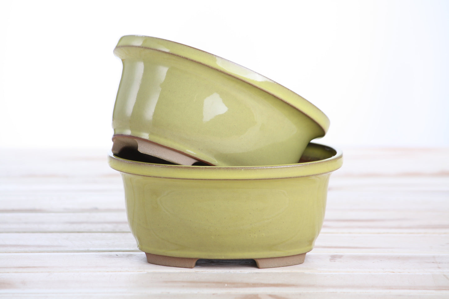 Willow Bonsai Ceramics Fat Bonsai Pot 5.5 Inch – Bold Oval Ceramic Bonsai & Succulent Planter with Accentuated Rim, High‑Fired Frost‑Proof Stoneware, Handmade in USA (Yellow)