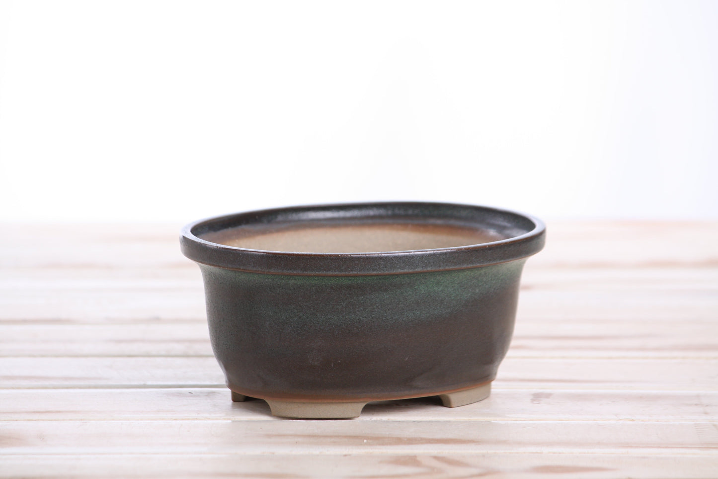 Willow Bonsai Ceramics Fat Bonsai Pot 5.5 Inch – Bold Oval Ceramic Bonsai & Succulent Planter with Accentuated Rim, High‑Fired Frost‑Proof Stoneware, Handmade in USA (Avocado)