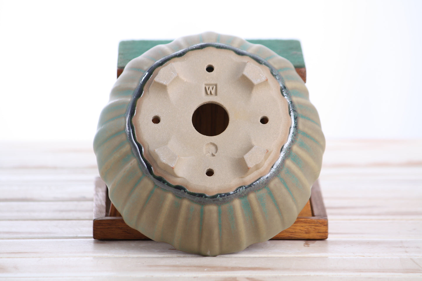 Willow Bonsai Ceramics Lily Bonsai Pot 6 Inch – Sculpted Rounded Ceramic Bonsai & Succulent Planter with Wavy Profile, High‑Fired Frost‑Proof Stoneware, Handmade in USA (Speckled Moss)