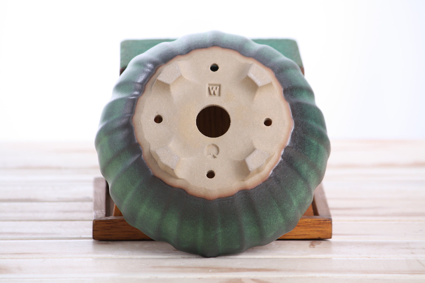 Willow Bonsai Ceramics Lily Bonsai Pot 6 Inch – Sculpted Rounded Ceramic Bonsai & Succulent Planter with Wavy Profile, High‑Fired Frost‑Proof Stoneware, Handmade in USA (Avocado)