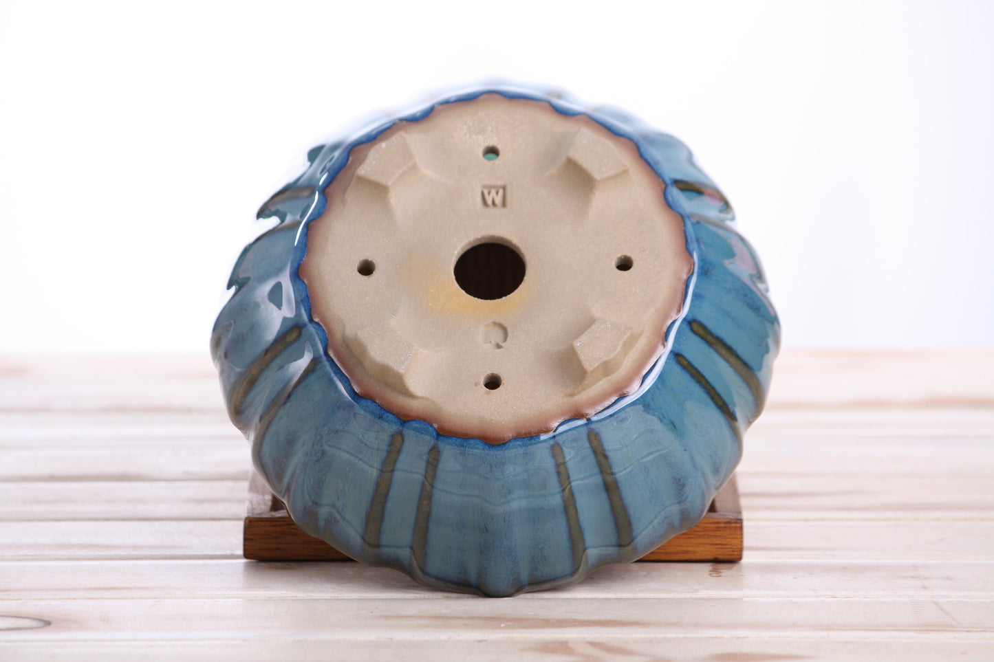 Willow Bonsai Ceramics Lily Bonsai Pot 7 Inch – Sculpted Rounded Ceramic Bonsai & Succulent Planter with Wavy Profile, High‑Fired Frost‑Proof Stoneware, Handmade in USA (Peacock)