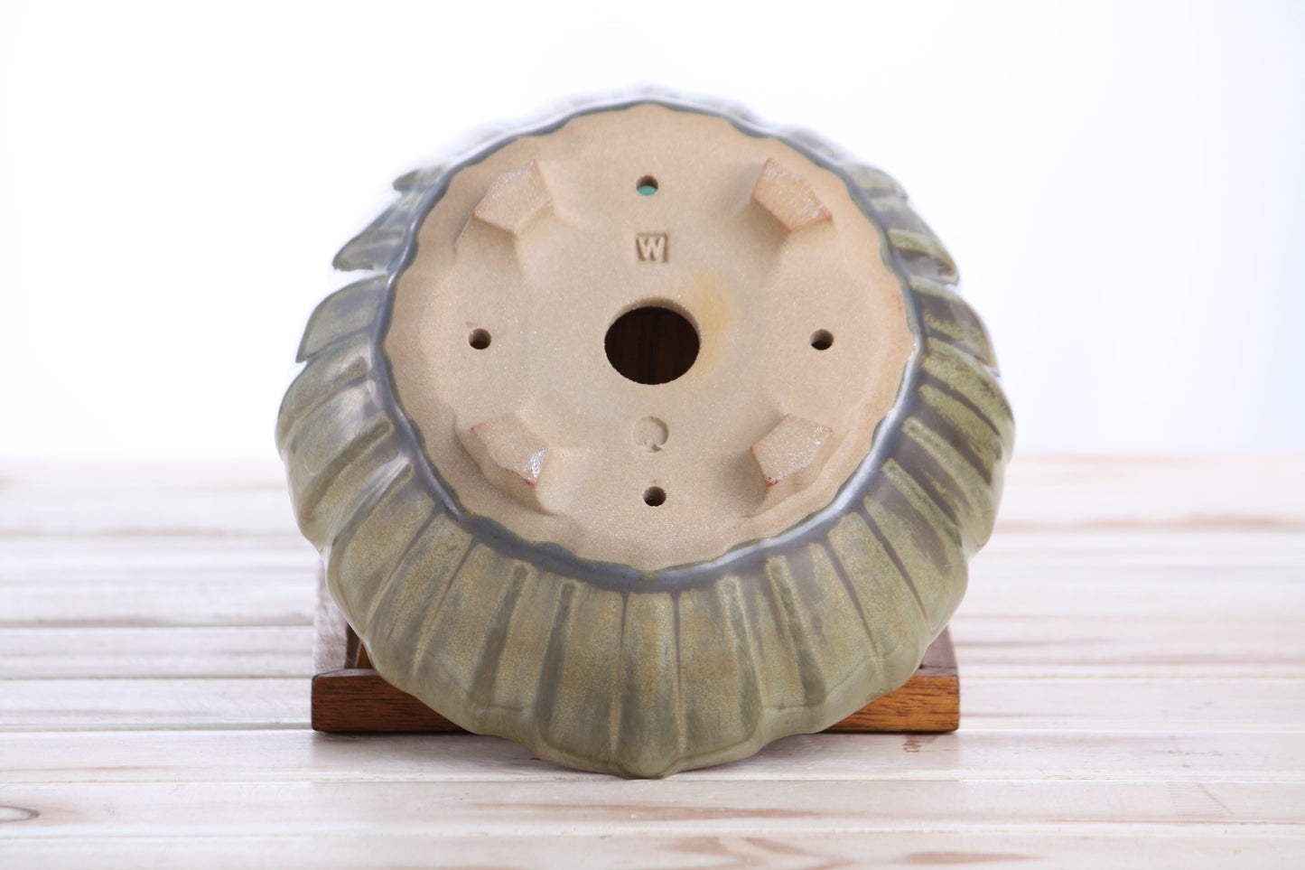 Willow Bonsai Ceramics Lily Bonsai Pot 7 Inch – Sculpted Rounded Ceramic Bonsai & Succulent Planter with Wavy Profile, High‑Fired Frost‑Proof Stoneware, Handmade in USA (Copenhagen)
