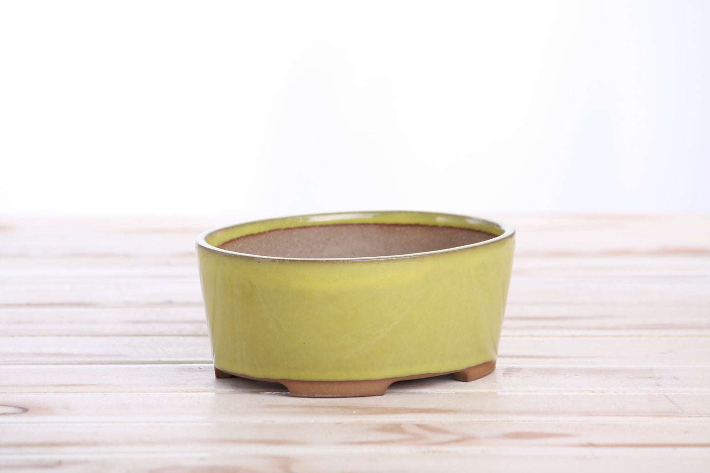 Willow Bonsai Ceramics Oval A Bonsai Pot 6 Inch – Straight‑Sided Oval Ceramic Bonsai & Succulent Planter, High‑Fired Frost‑Proof Stoneware with Drainage & Wiring Holes, Handmade in USA (Yellow)
