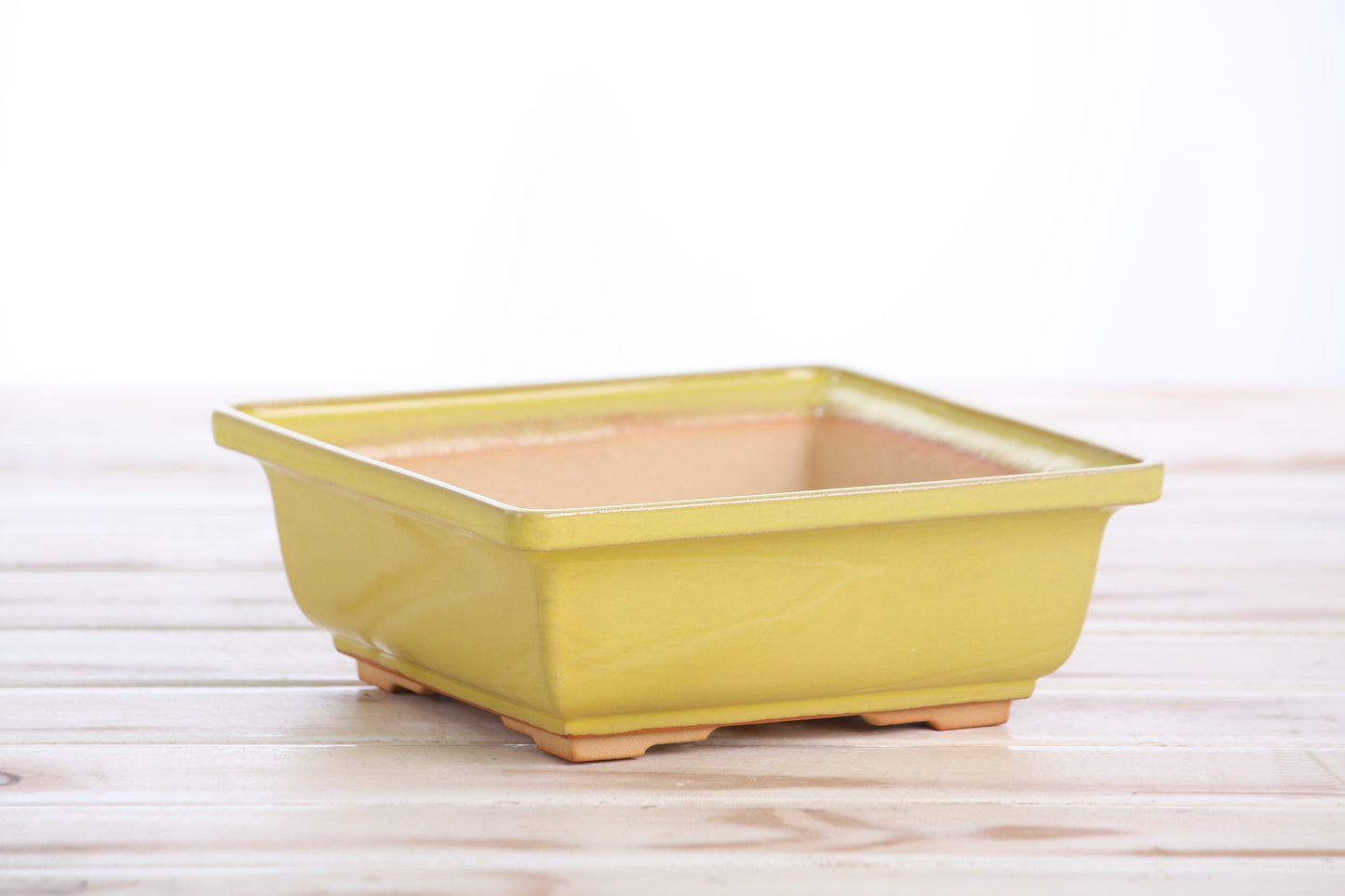 Willow Bonsai Ceramics Square Bonsai Pot 6 Inch – Low‑Profile Square Ceramic Bonsai & Succulent Planter with Accentuated Rim, High‑Fired Frost‑Proof Stoneware, Handmade in USA (Yellow)