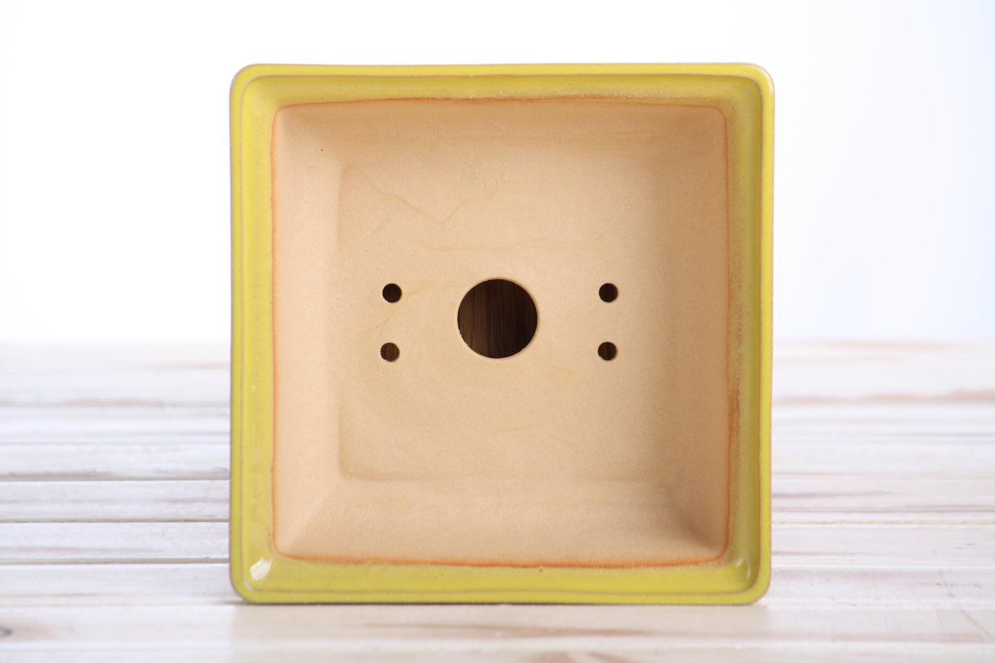 Willow Bonsai Ceramics Square Bonsai Pot 6 Inch – Low‑Profile Square Ceramic Bonsai & Succulent Planter with Accentuated Rim, High‑Fired Frost‑Proof Stoneware, Handmade in USA (Yellow)