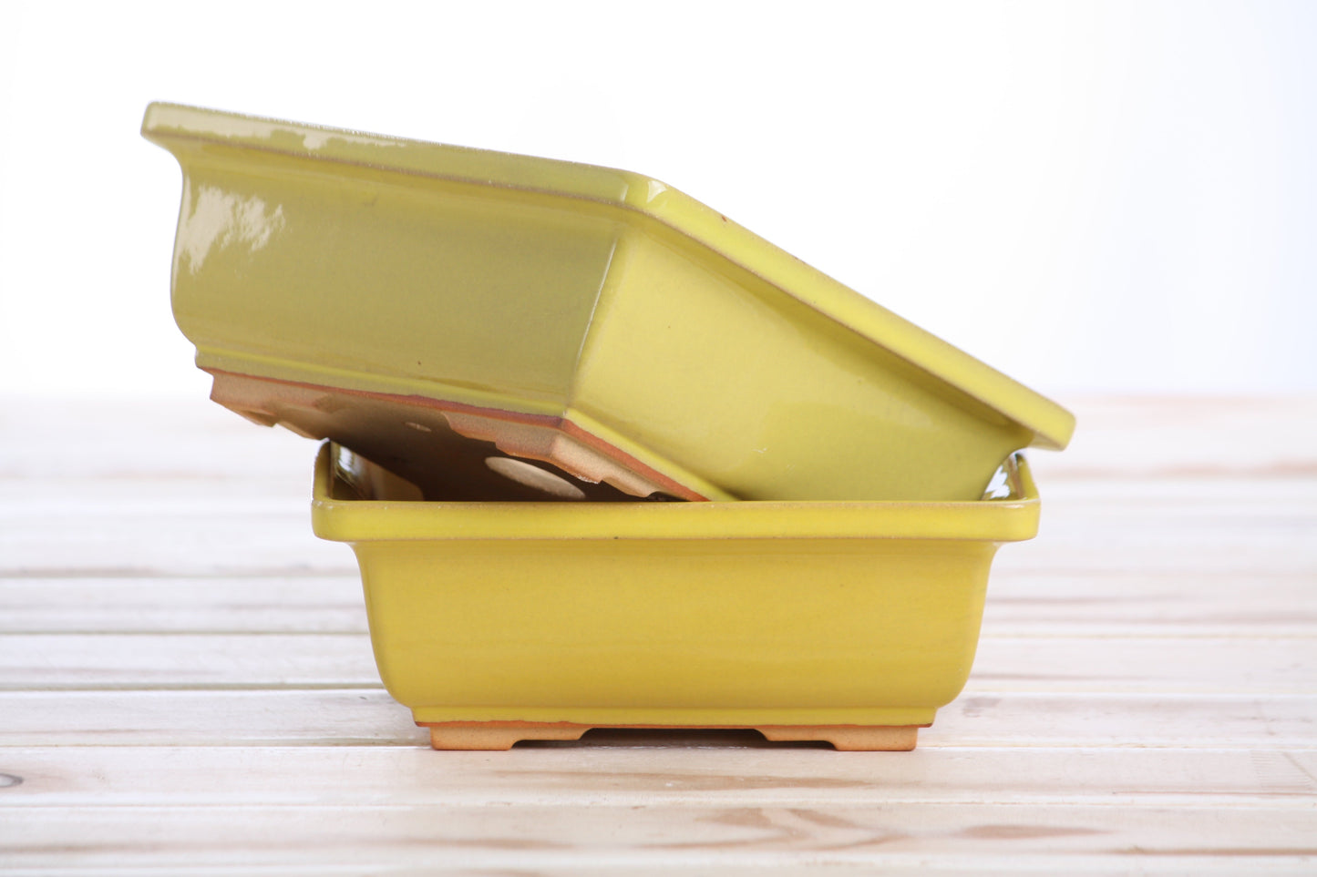 Willow Bonsai Ceramics Square Bonsai Pot 6 Inch – Low‑Profile Square Ceramic Bonsai & Succulent Planter with Accentuated Rim, High‑Fired Frost‑Proof Stoneware, Handmade in USA (Yellow)