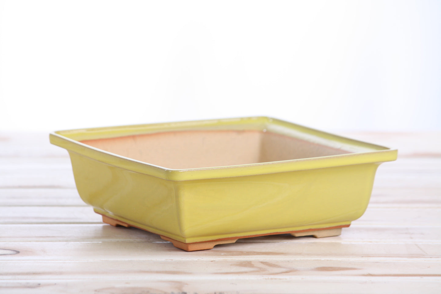 Willow Bonsai Ceramics Square Bonsai Pot 7 Inch – Low‑Profile Square Ceramic Bonsai & Succulent Planter with Accentuated Rim, High‑Fired Frost‑Proof Stoneware, Handmade in USA (Yellow)