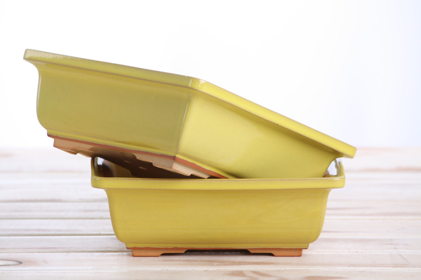 Willow Bonsai Ceramics Square Bonsai Pot 7 Inch – Low‑Profile Square Ceramic Bonsai & Succulent Planter with Accentuated Rim, High‑Fired Frost‑Proof Stoneware, Handmade in USA (Yellow)