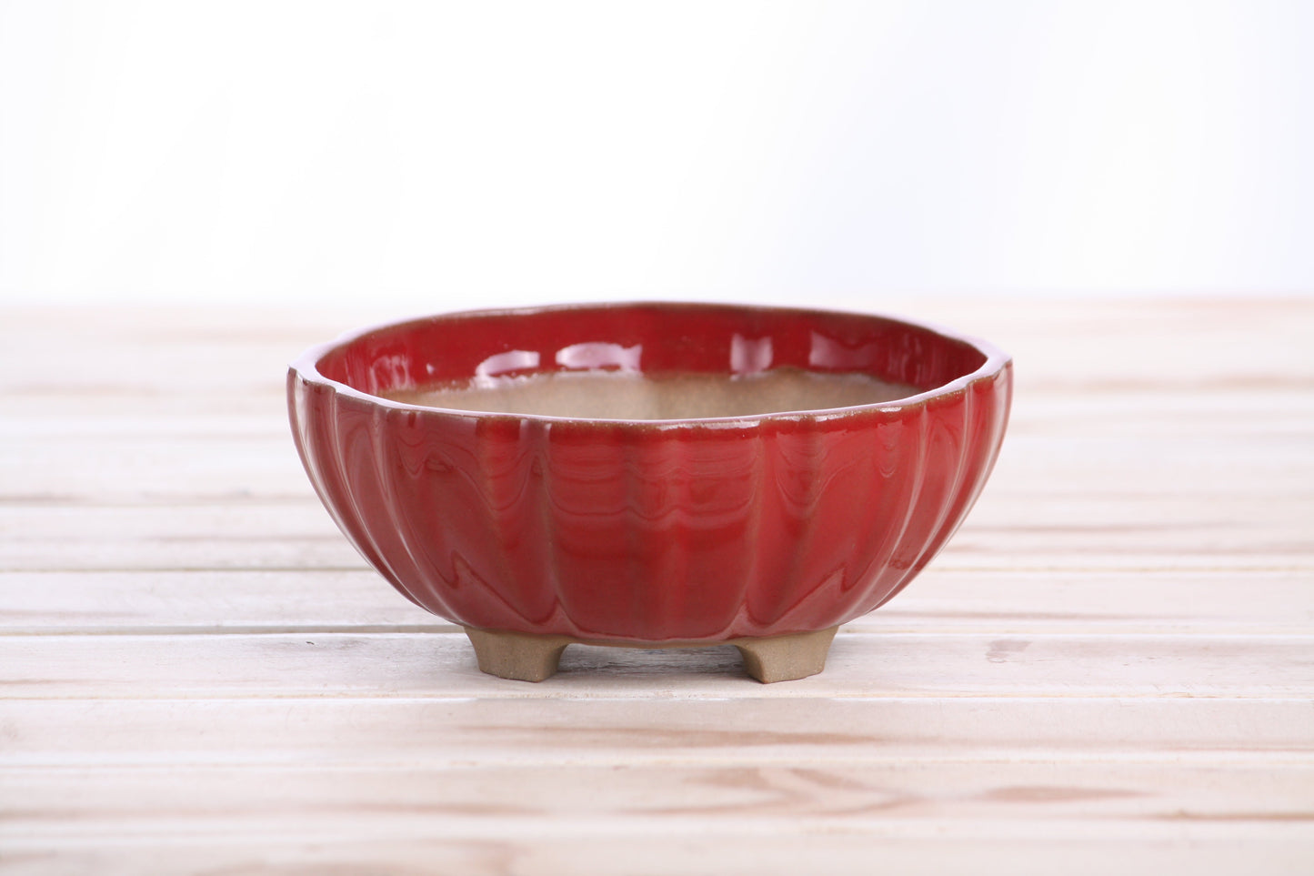 Willow Bonsai Ceramics Lily Bonsai Pot 5.5 Inch – Sculpted Rounded Ceramic Bonsai & Succulent Planter with Wavy Profile, High‑Fired Frost‑Proof Stoneware, Handmade in USA (Red)