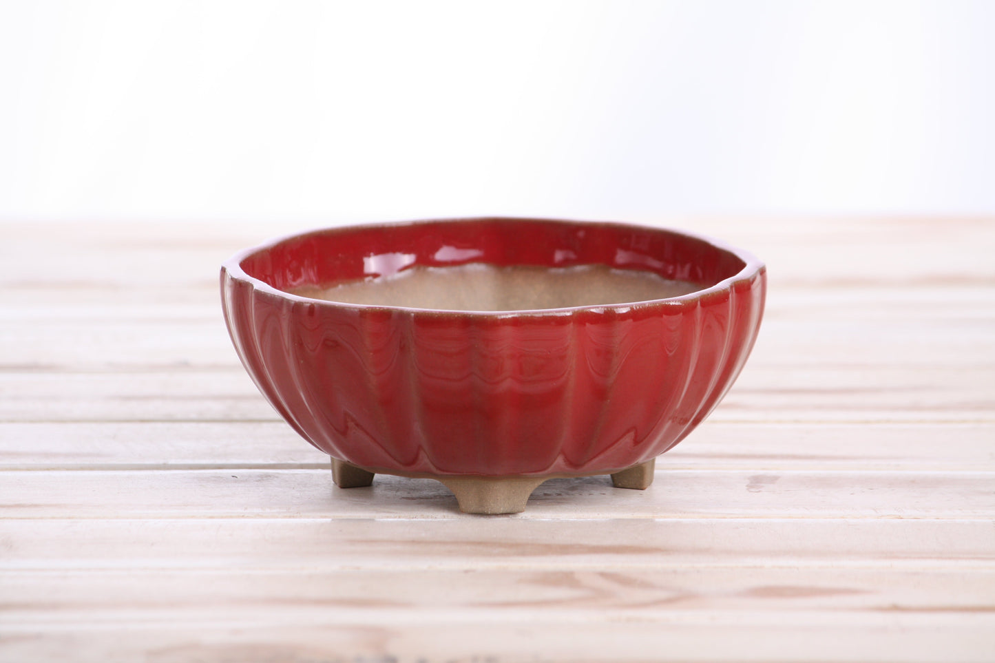 Willow Bonsai Ceramics Lily Bonsai Pot 5.5 Inch – Sculpted Rounded Ceramic Bonsai & Succulent Planter with Wavy Profile, High‑Fired Frost‑Proof Stoneware, Handmade in USA (Red)