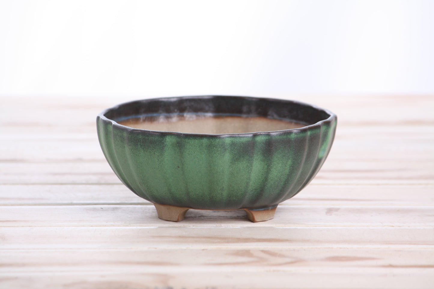 Willow Bonsai Ceramics Lily Bonsai Pot 5.5 Inch – Sculpted Rounded Ceramic Bonsai & Succulent Planter with Wavy Profile, High‑Fired Frost‑Proof Stoneware, Handmade in USA (Avocado)