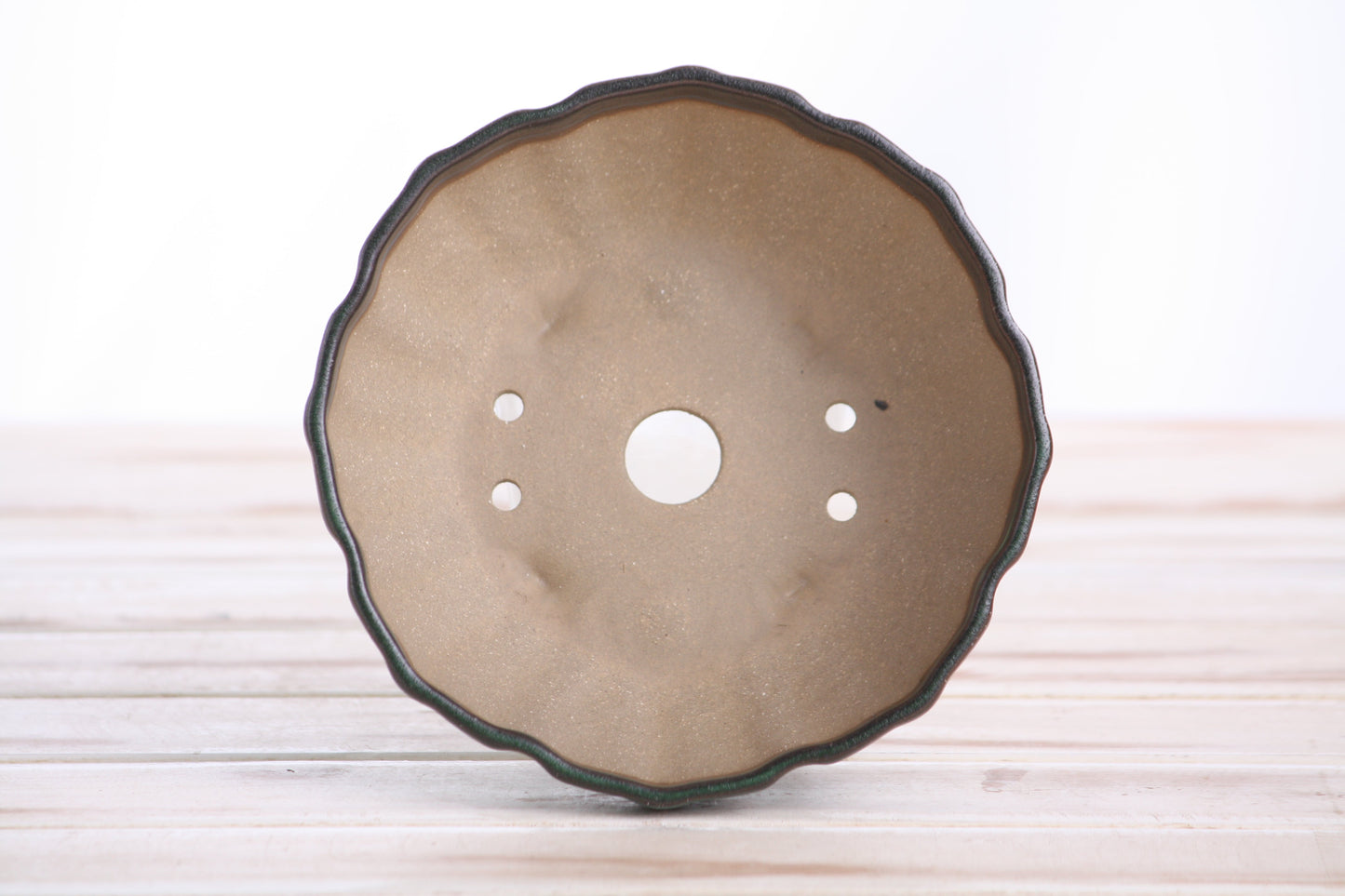 Willow Bonsai Ceramics Lily Bonsai Pot 5.5 Inch – Sculpted Rounded Ceramic Bonsai & Succulent Planter with Wavy Profile, High‑Fired Frost‑Proof Stoneware, Handmade in USA (Avocado)