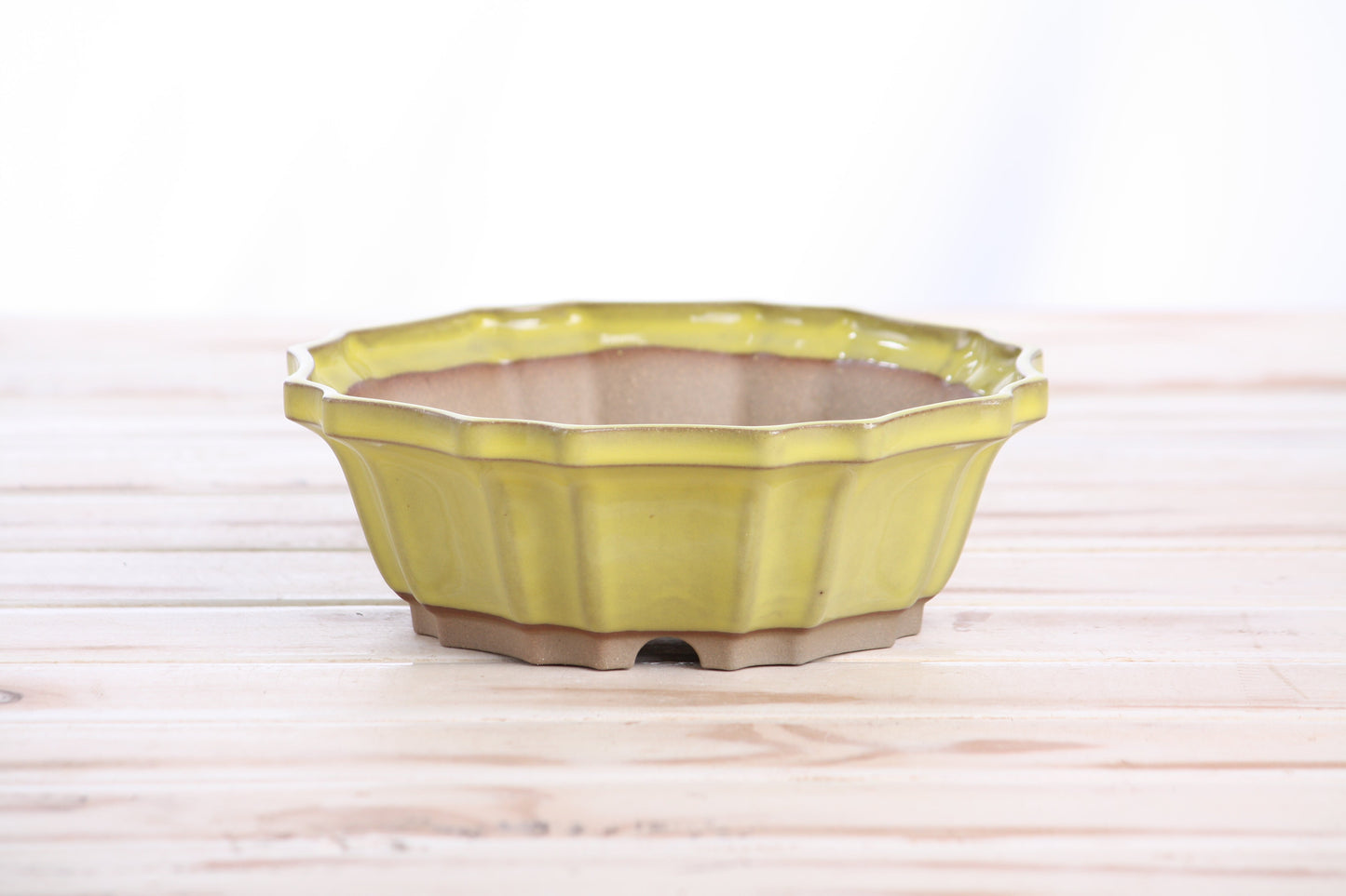 Willow Bonsai Ceramics Flower Design Bonsai Pot 6.5 Inch – Elegant Ceramic Bonsai & Succulent Planter, High‑Fired Frost‑Proof Stoneware with Drainage & Wiring Holes, Handmade in USA (Yellow)
