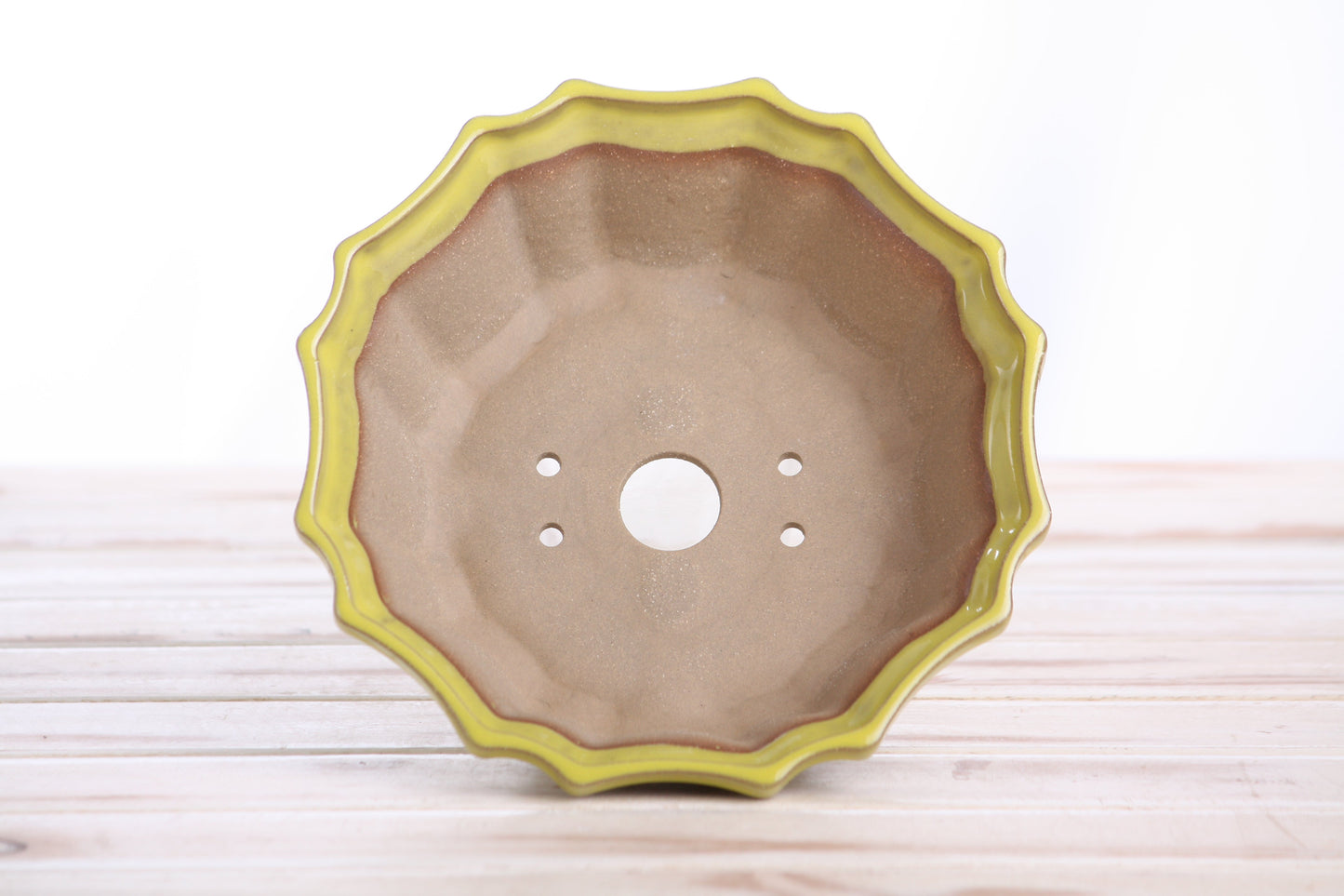 Willow Bonsai Ceramics Flower Design Bonsai Pot 6.5 Inch – Elegant Ceramic Bonsai & Succulent Planter, High‑Fired Frost‑Proof Stoneware with Drainage & Wiring Holes, Handmade in USA (Yellow)