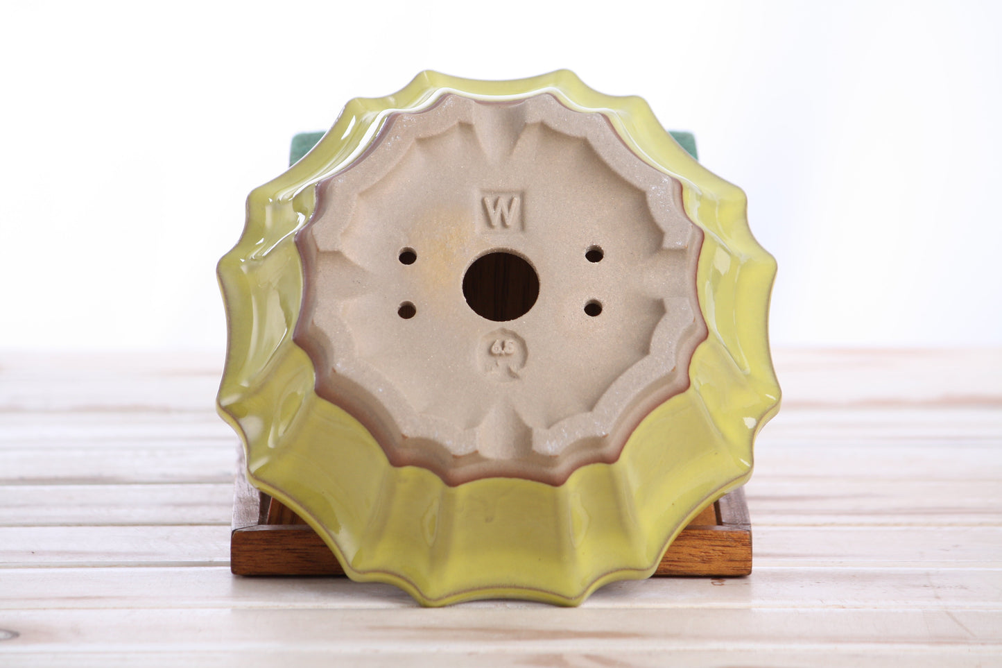 Willow Bonsai Ceramics Flower Design Bonsai Pot 6.5 Inch – Elegant Ceramic Bonsai & Succulent Planter, High‑Fired Frost‑Proof Stoneware with Drainage & Wiring Holes, Handmade in USA (Yellow)