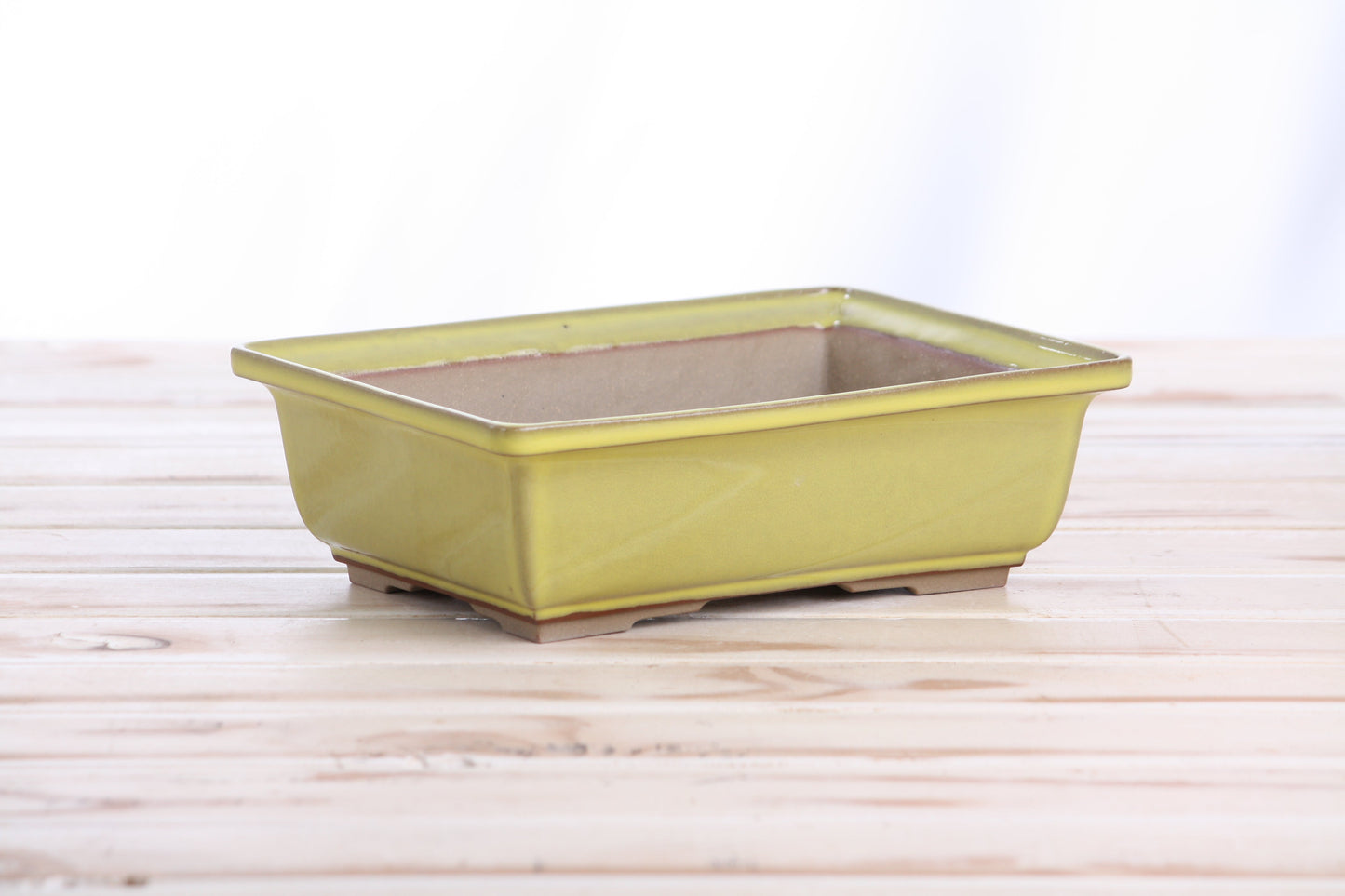 Willow Bonsai Ceramics Rectangle Bonsai Pot 8 Inch – Lower‑Profile Rectangular Ceramic Bonsai & Succulent Planter with Accentuated Rim, High‑Fired Frost‑Proof Stoneware, Handmade in USA (Yellow)