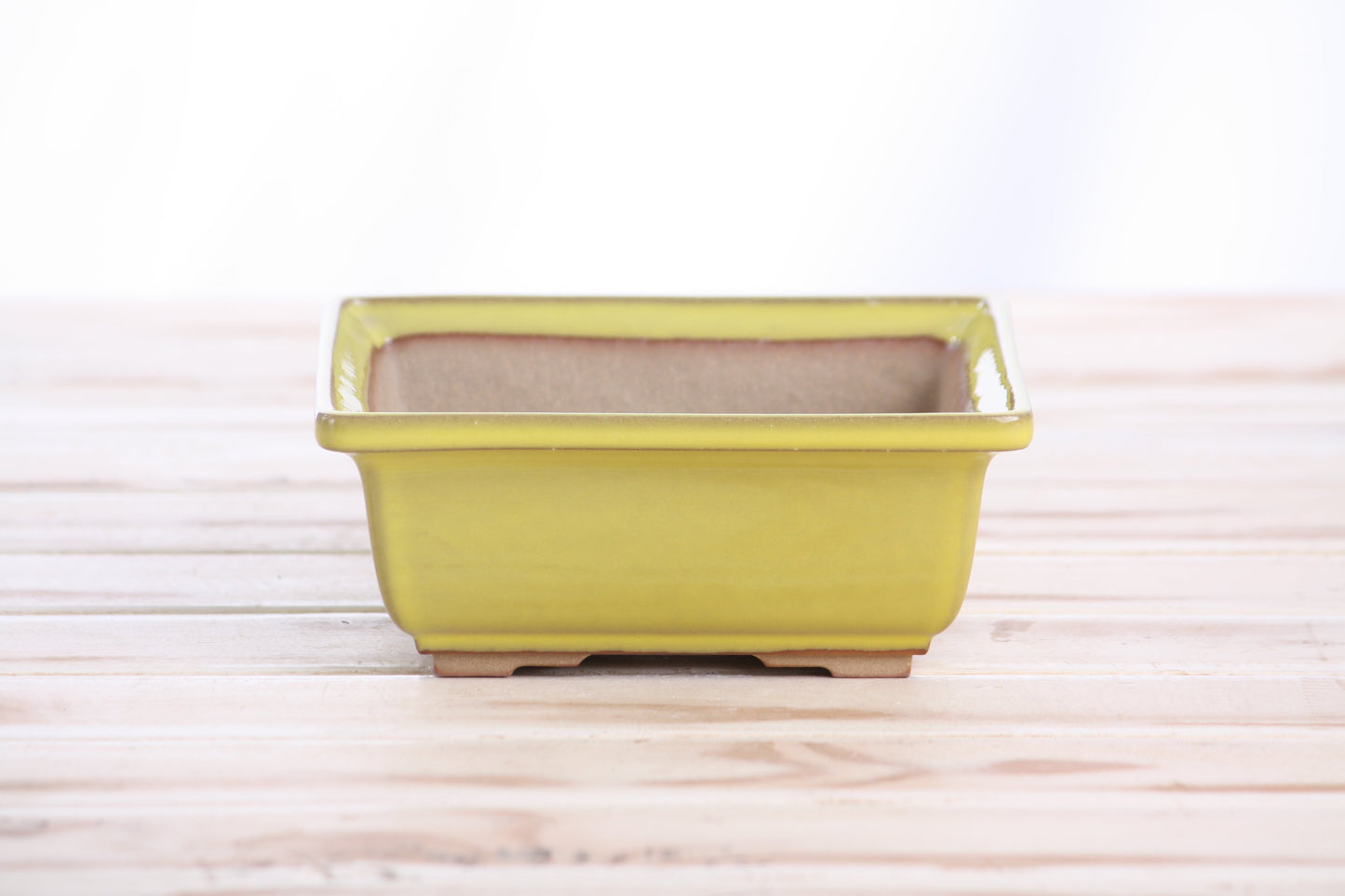 Willow Bonsai Ceramics Square Bonsai Pot 5.5 Inch – Low‑Profile Square Ceramic Bonsai & Succulent Planter with Accentuated Rim, High‑Fired Frost‑Proof Stoneware, Handmade in USA (Yellow)