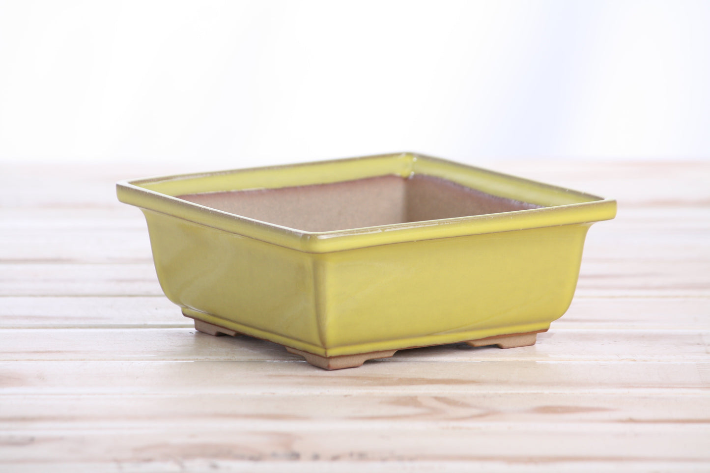 Willow Bonsai Ceramics Square Bonsai Pot 5.5 Inch – Low‑Profile Square Ceramic Bonsai & Succulent Planter with Accentuated Rim, High‑Fired Frost‑Proof Stoneware, Handmade in USA (Yellow)