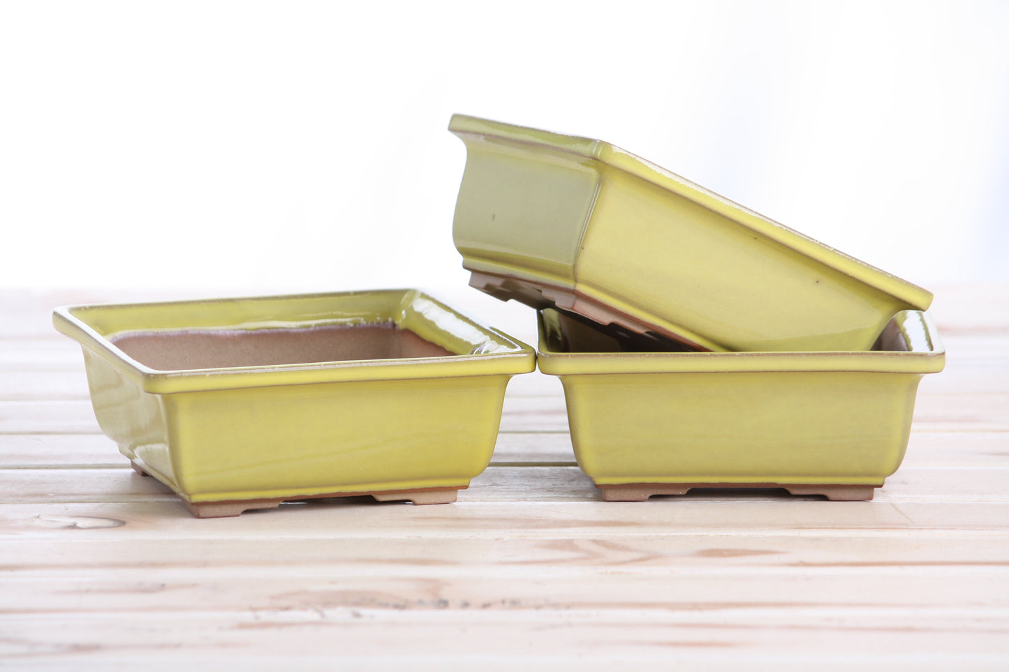Willow Bonsai Ceramics Square Bonsai Pot 5.5 Inch – Low‑Profile Square Ceramic Bonsai & Succulent Planter with Accentuated Rim, High‑Fired Frost‑Proof Stoneware, Handmade in USA (Yellow)