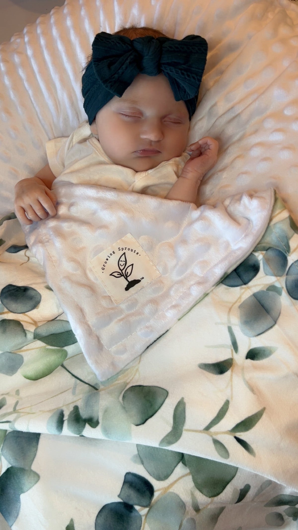 Eucalyptus Embrace Minky Blanket