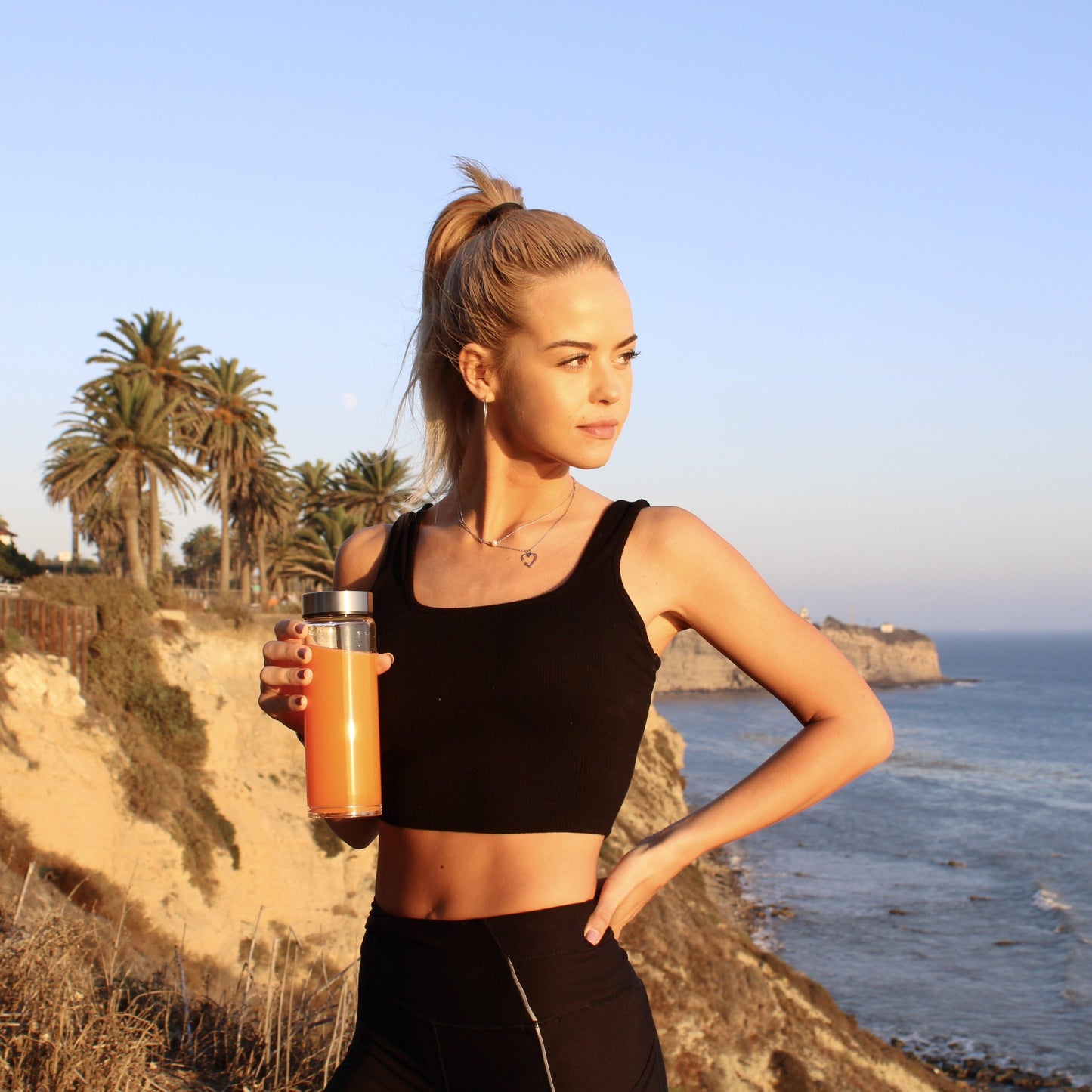 Skinny Series Wide Mouth Glass Bottles Set w/ Stainless Steel Lids, 16 oz