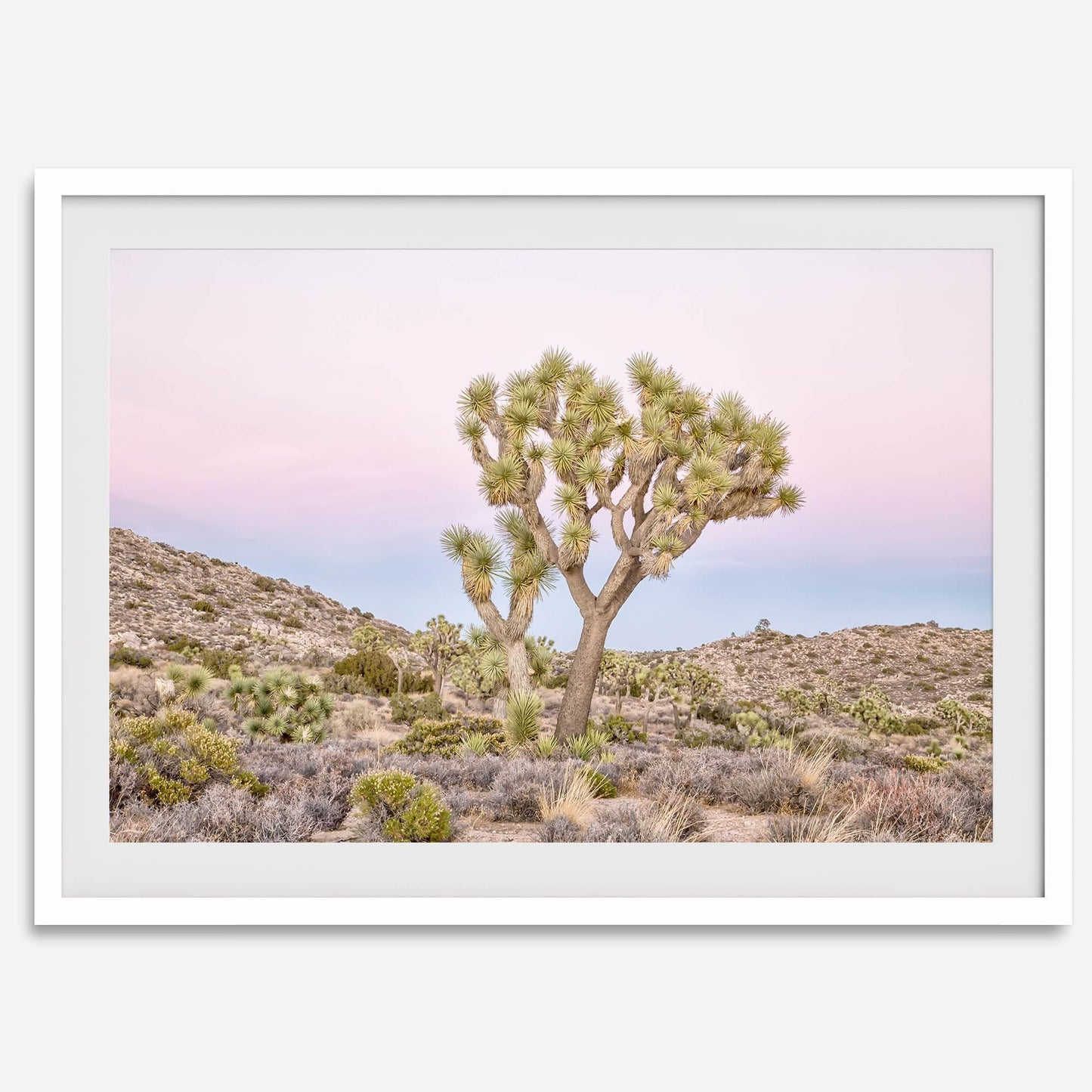 Pink Desert