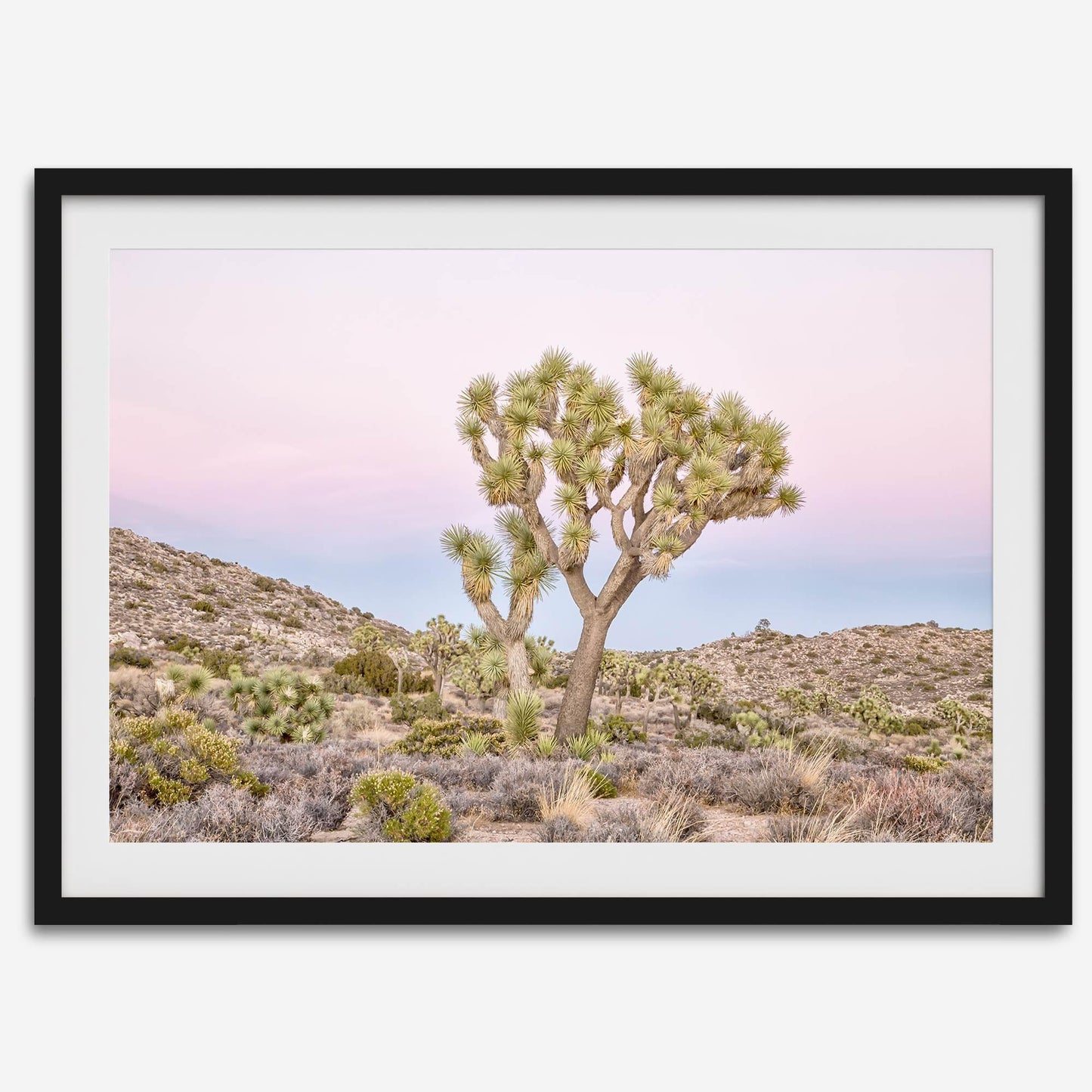 Pink Desert