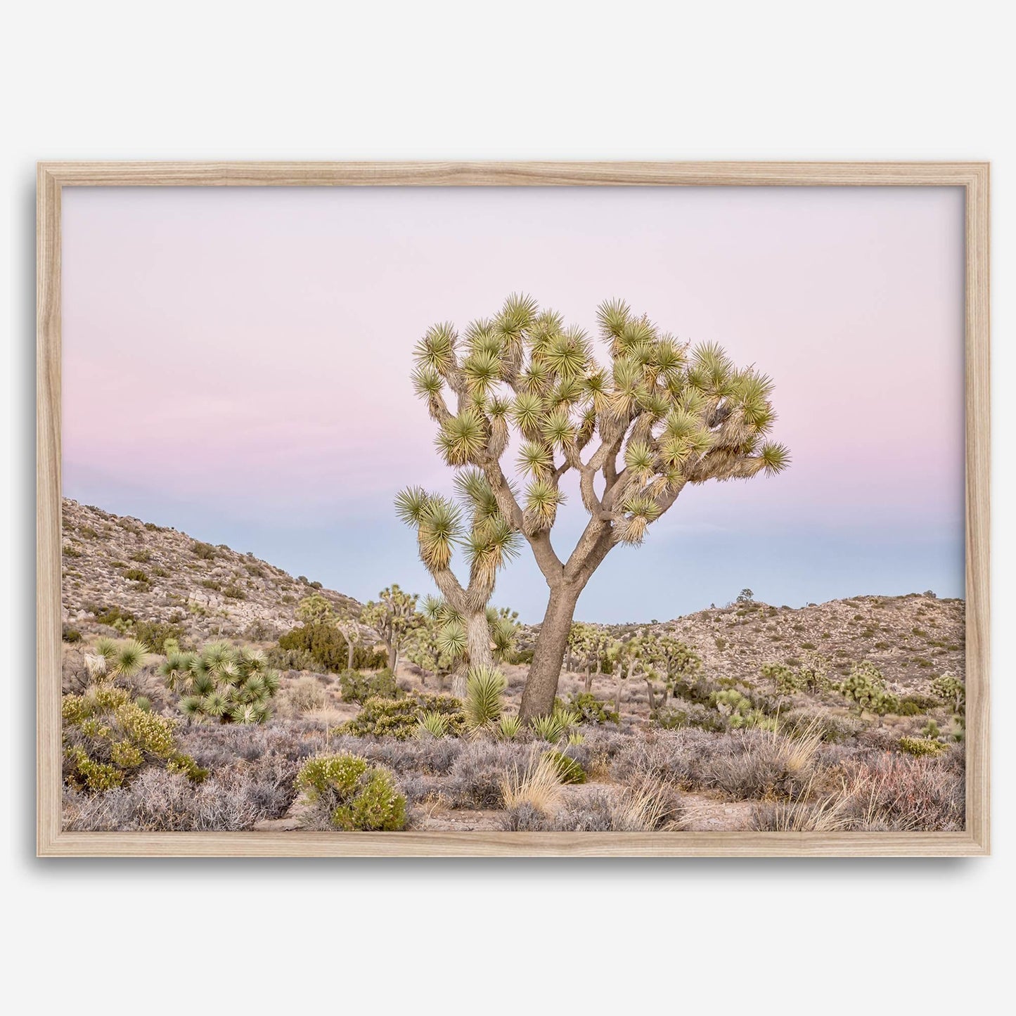 Pink Desert