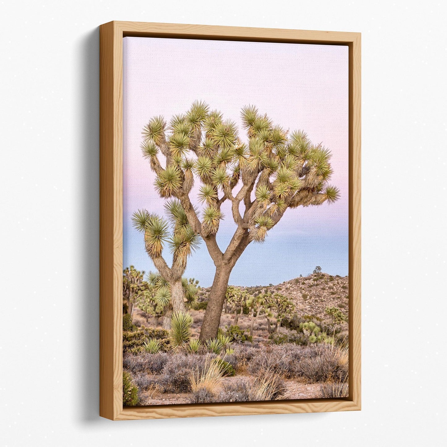 Joshua Tree Canvas Set