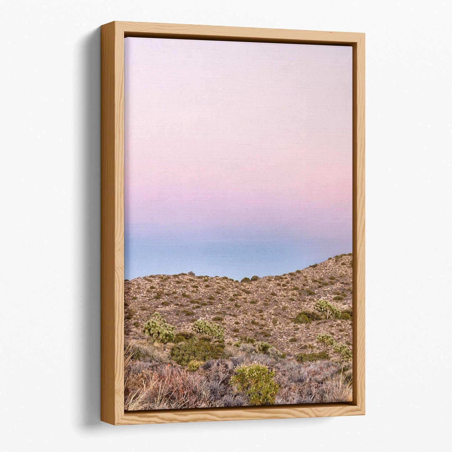 Joshua Tree Canvas Set