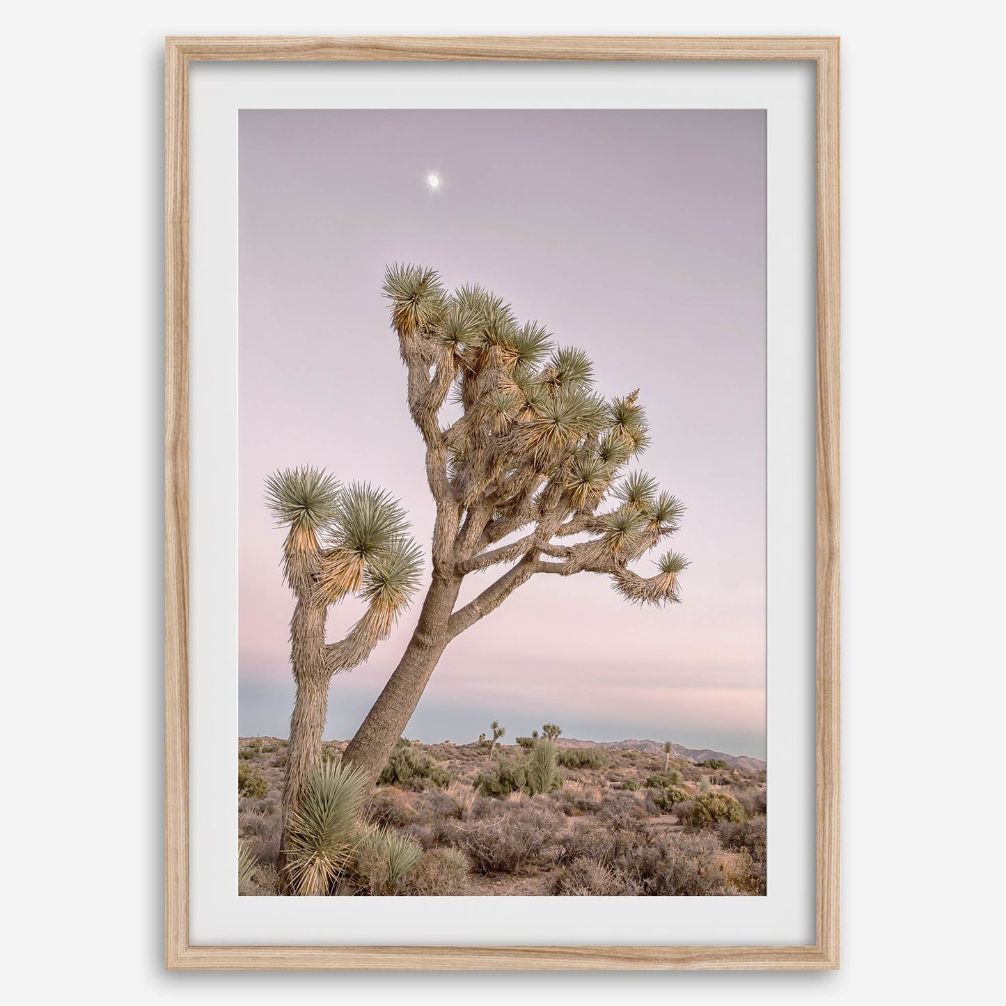 Moonlit Desert