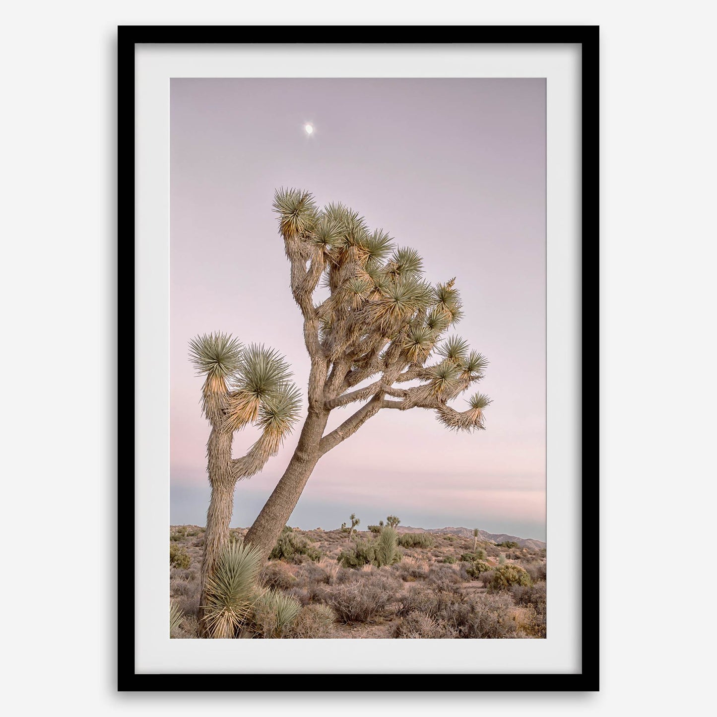 Moonlit Desert