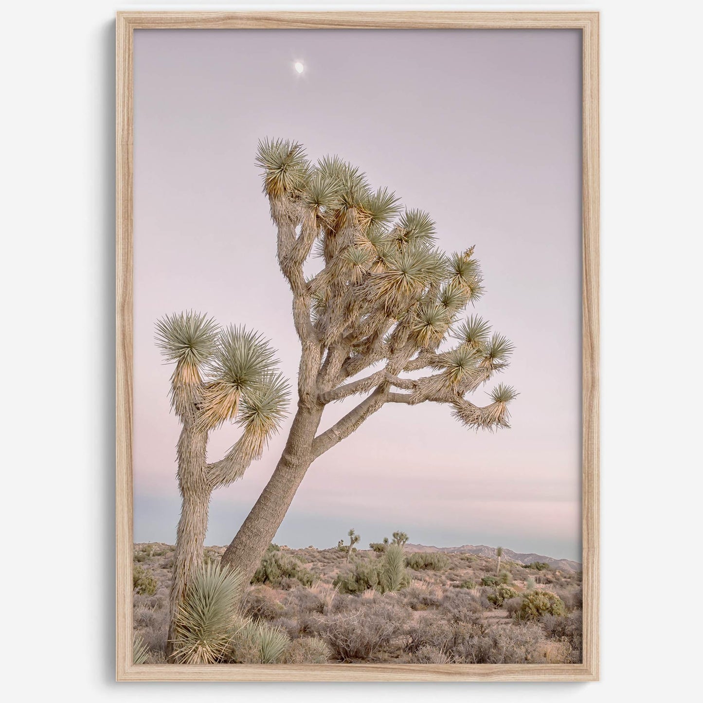 Moonlit Desert