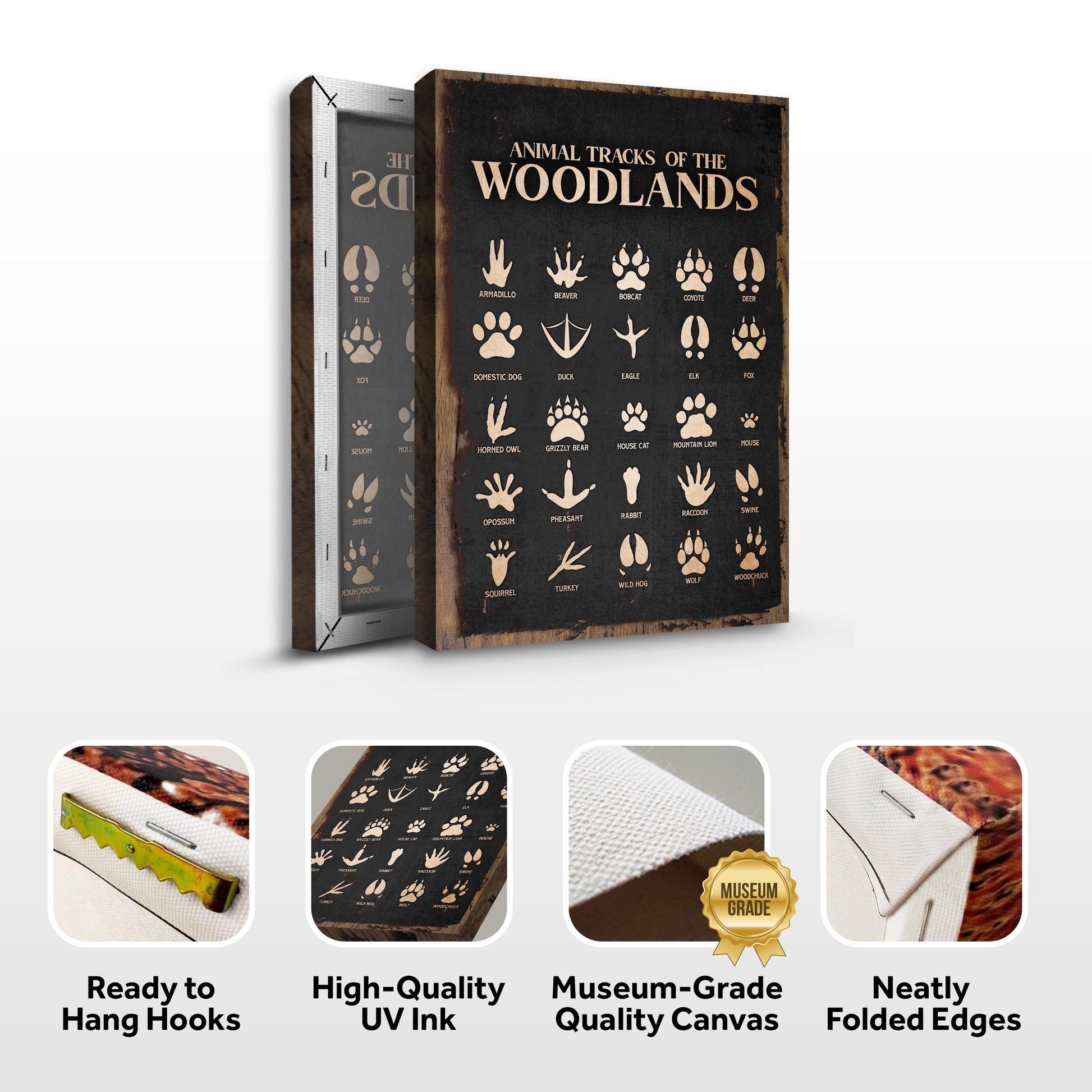 Packaging of 'Animal Tracks of the Woodlands' with features highlighted on a white background