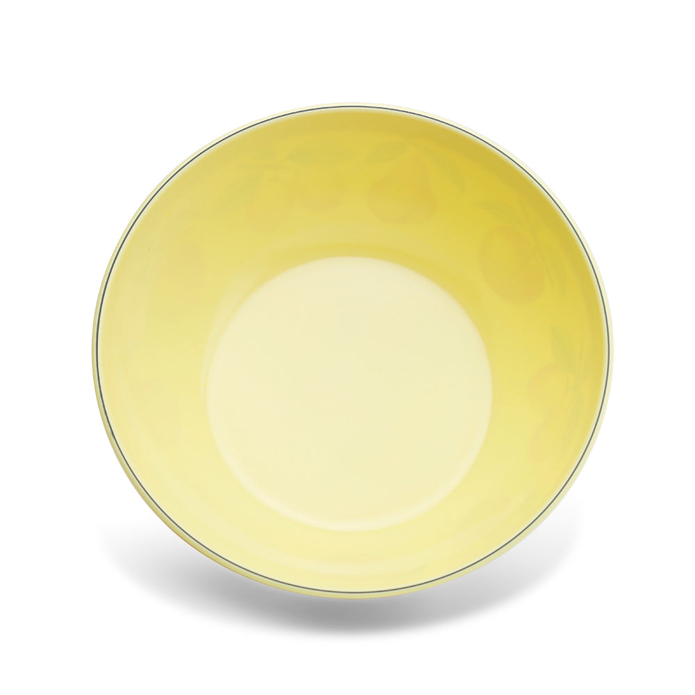 Fruit Pattern Melamine Multi-purpose Bowl 2pc Set